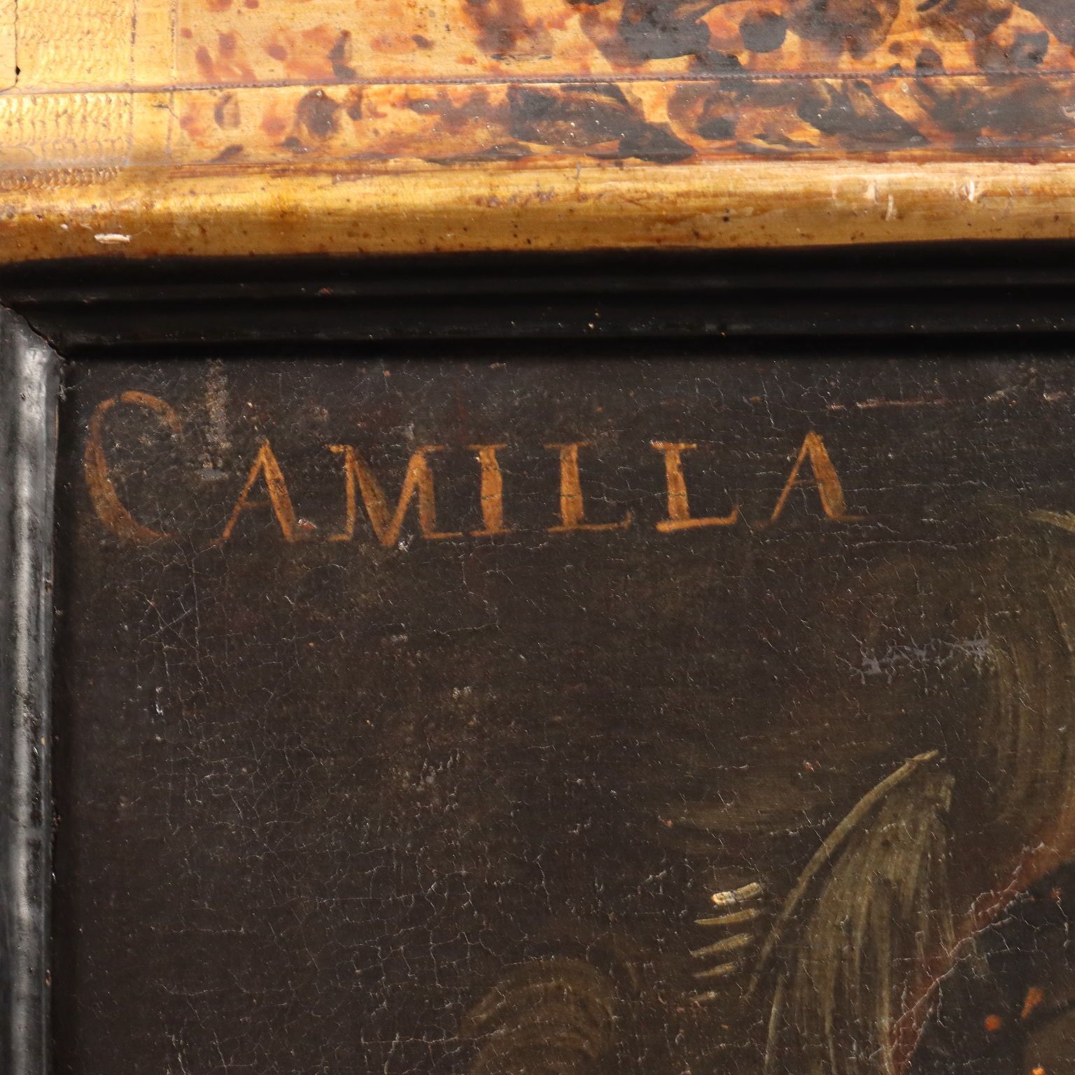 Tableau : Camilla, reine des Amazones photo vinterior