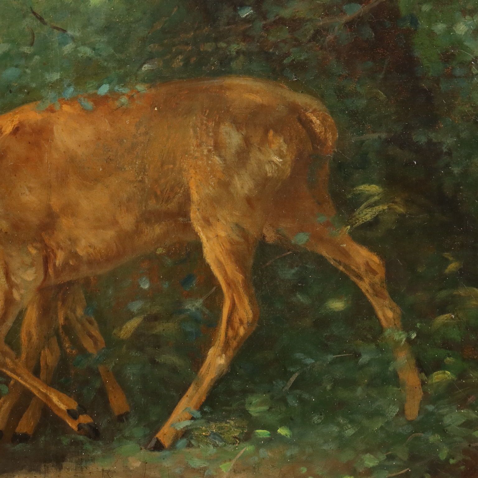 Antiek schilderij hert in het bos olieverf op doek Frankrijk 19e eeuw photo 1500.0