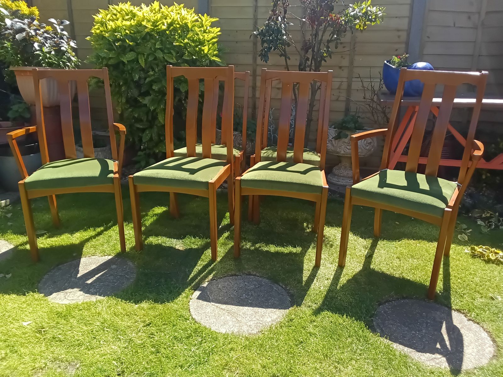 Reduced !! As New.. Set Of 6 Meredew Teak Vintage Dining Chairs. photo buy