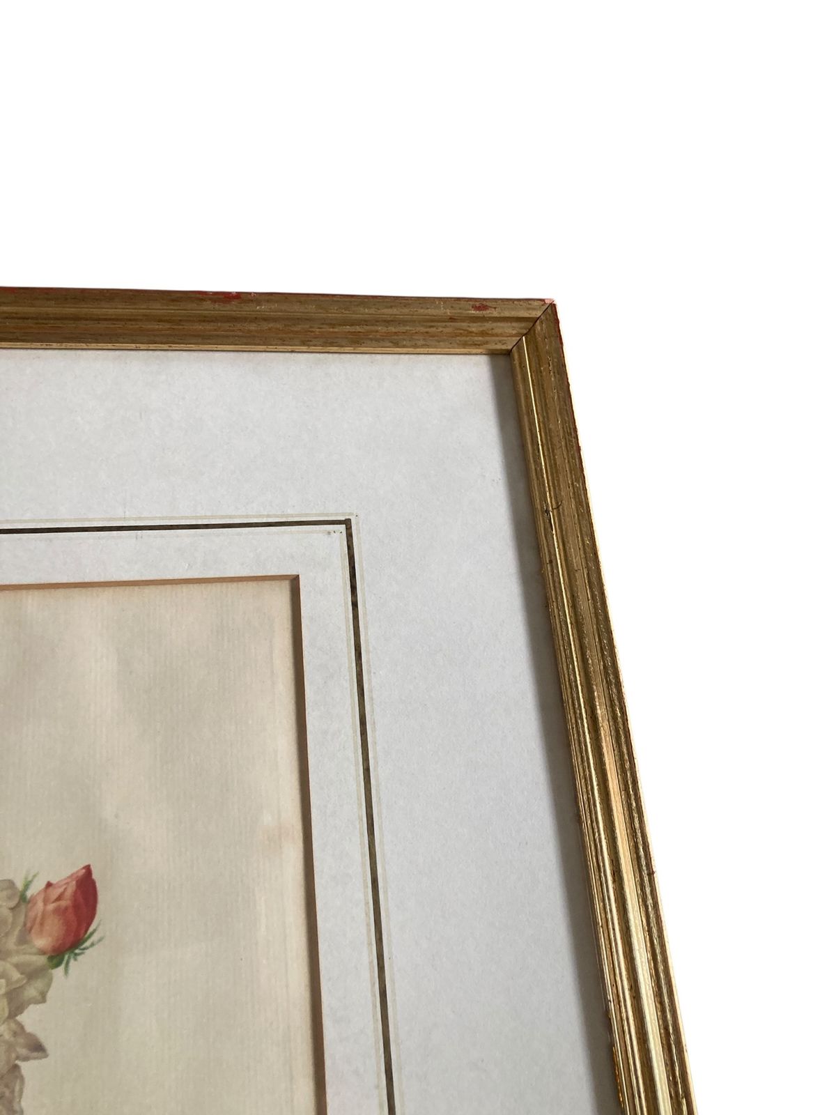 Pair Of Framed Botanical Prints Features The Work Of The Renowned French Floral Artist Pierre Joseph Redoute (1759–1840) photo furniture