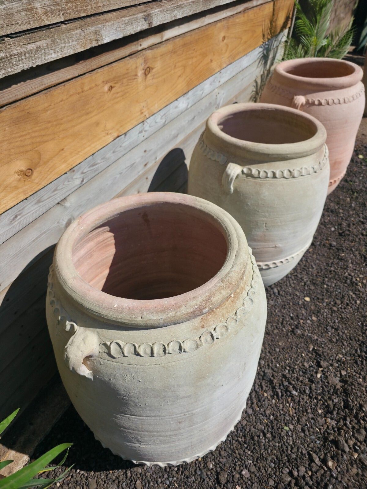 Large Rustic Mediterranean Terracotta Olive Tree Garden Plant Pot Planter Urn photo Garden Decor