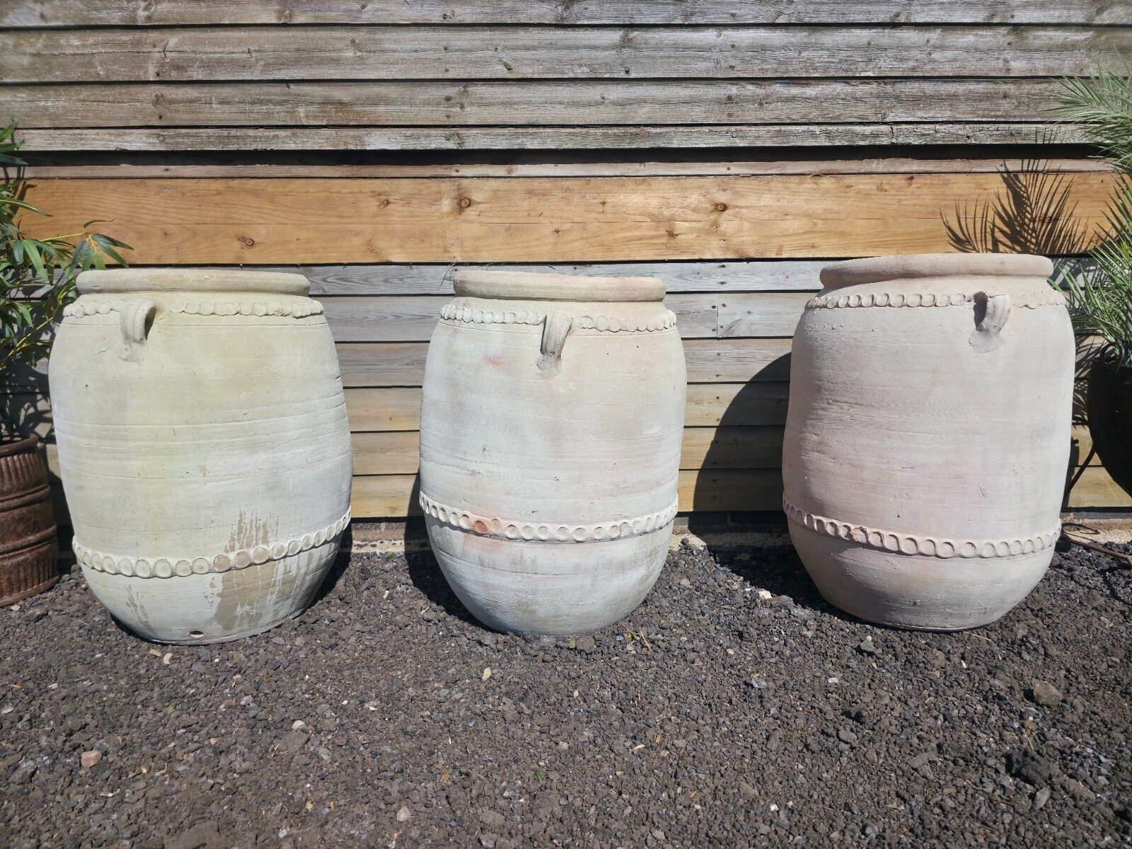 Large Rustic Mediterranean Terracotta Olive Tree Garden Plant Pot Planter Urn photo 150.0