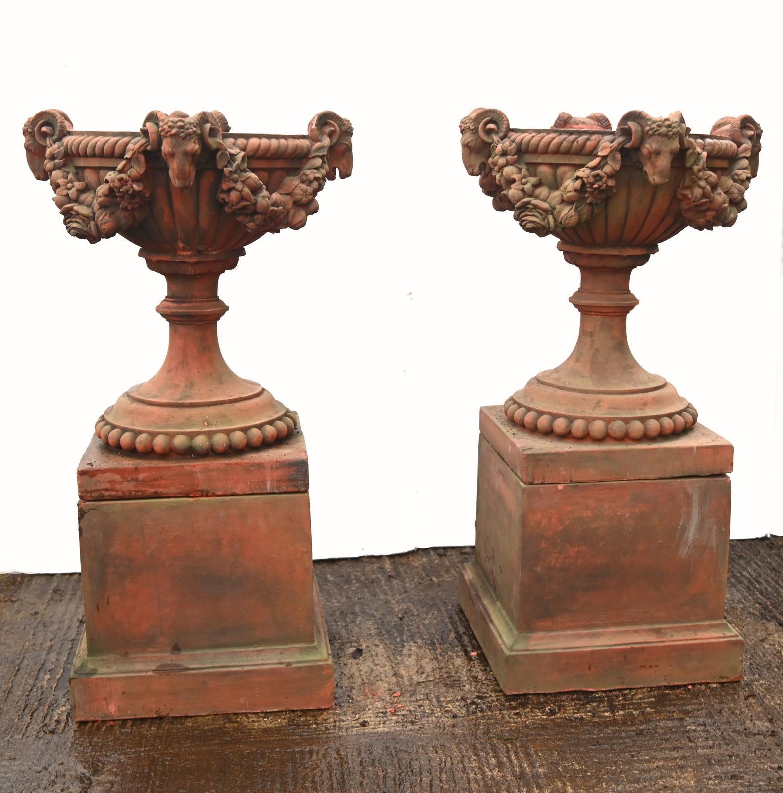 Pair Classical Terracotta Urns English Country Garden Rams Head photo buy