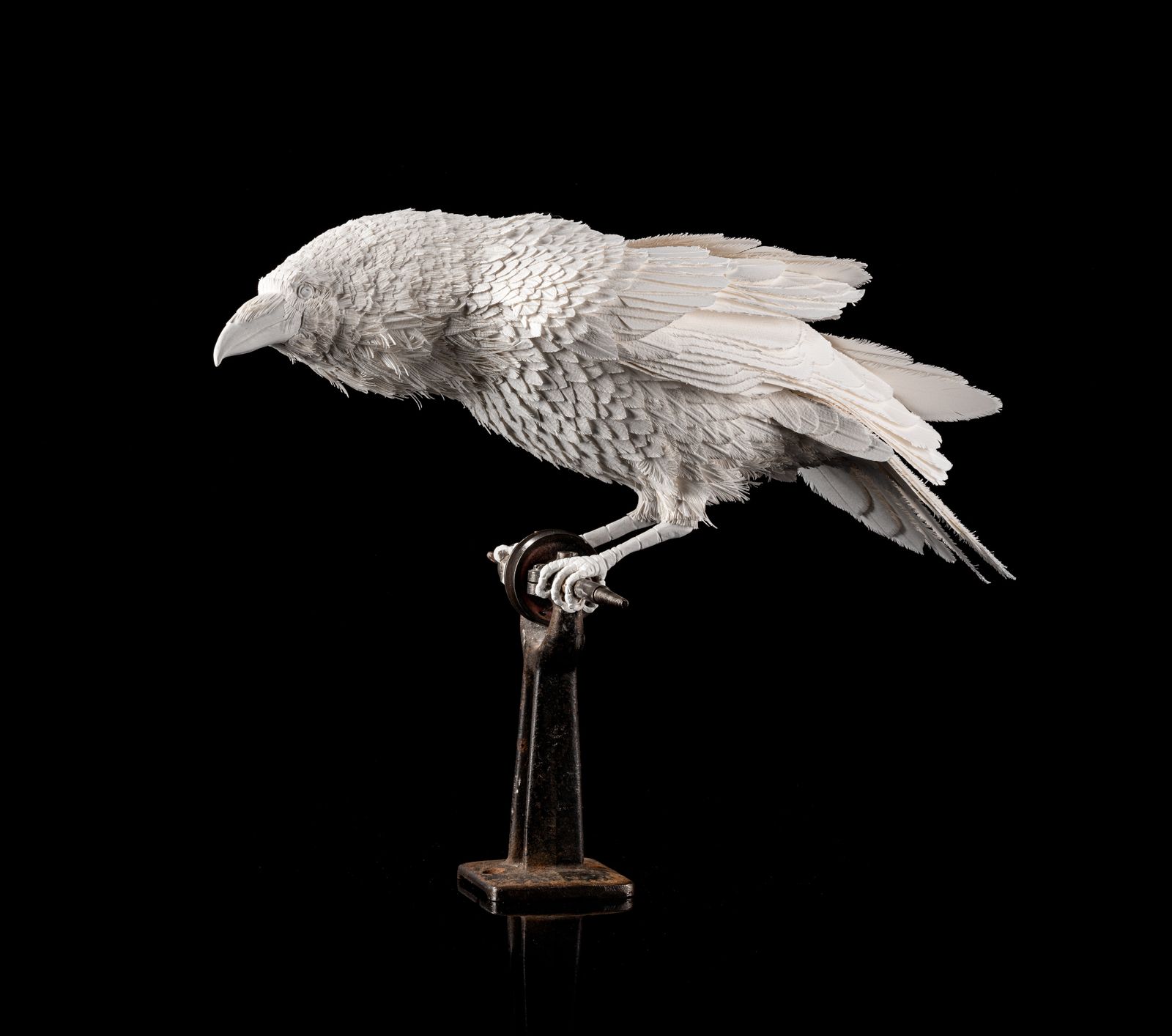 Unique Vintage Velum Paper Feather 'Raven' Sculpture In Bespoke Display Case.