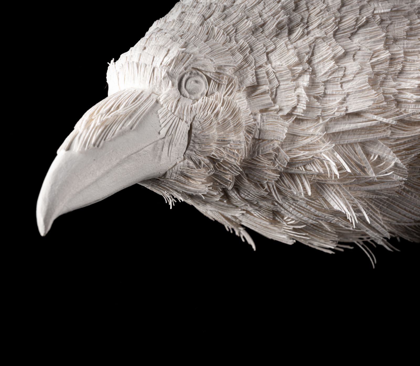Unique Vintage Velum Paper Feather 'Raven' Sculpture In Bespoke Display Case. photo for sale