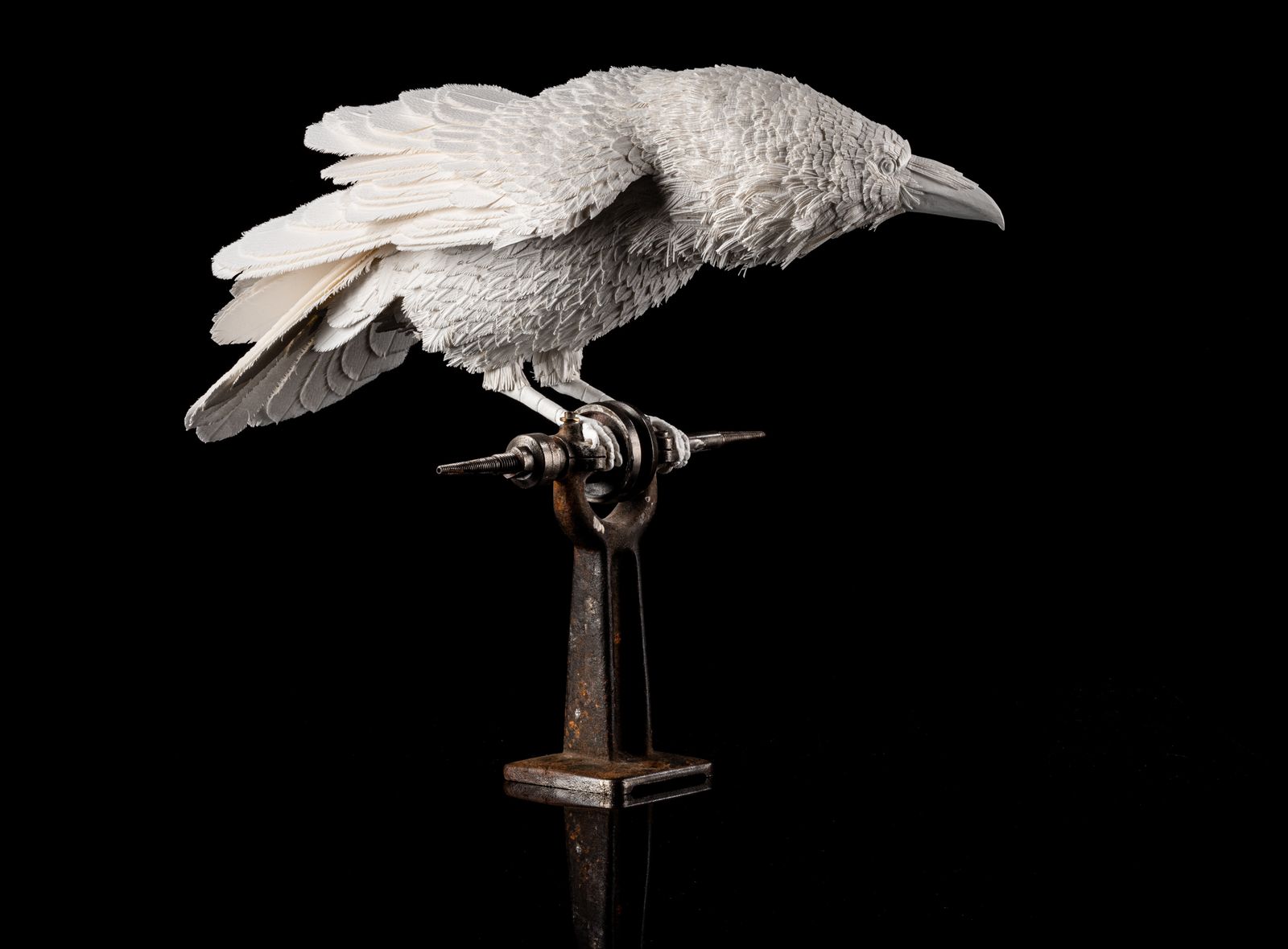 Unique Vintage Velum Paper Feather 'Raven' Sculpture In Bespoke Display Case. photo vinterior