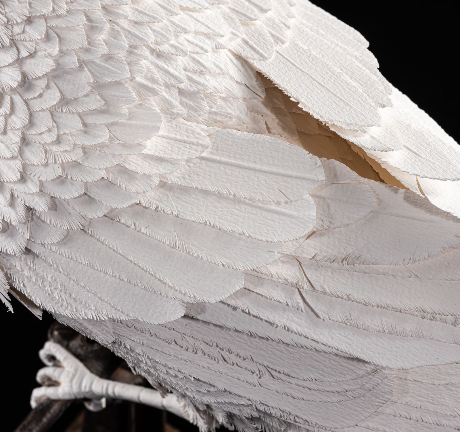 Unique Vintage Velum Paper Feather 'Raven' Sculpture In Bespoke Display Case. photo vintage