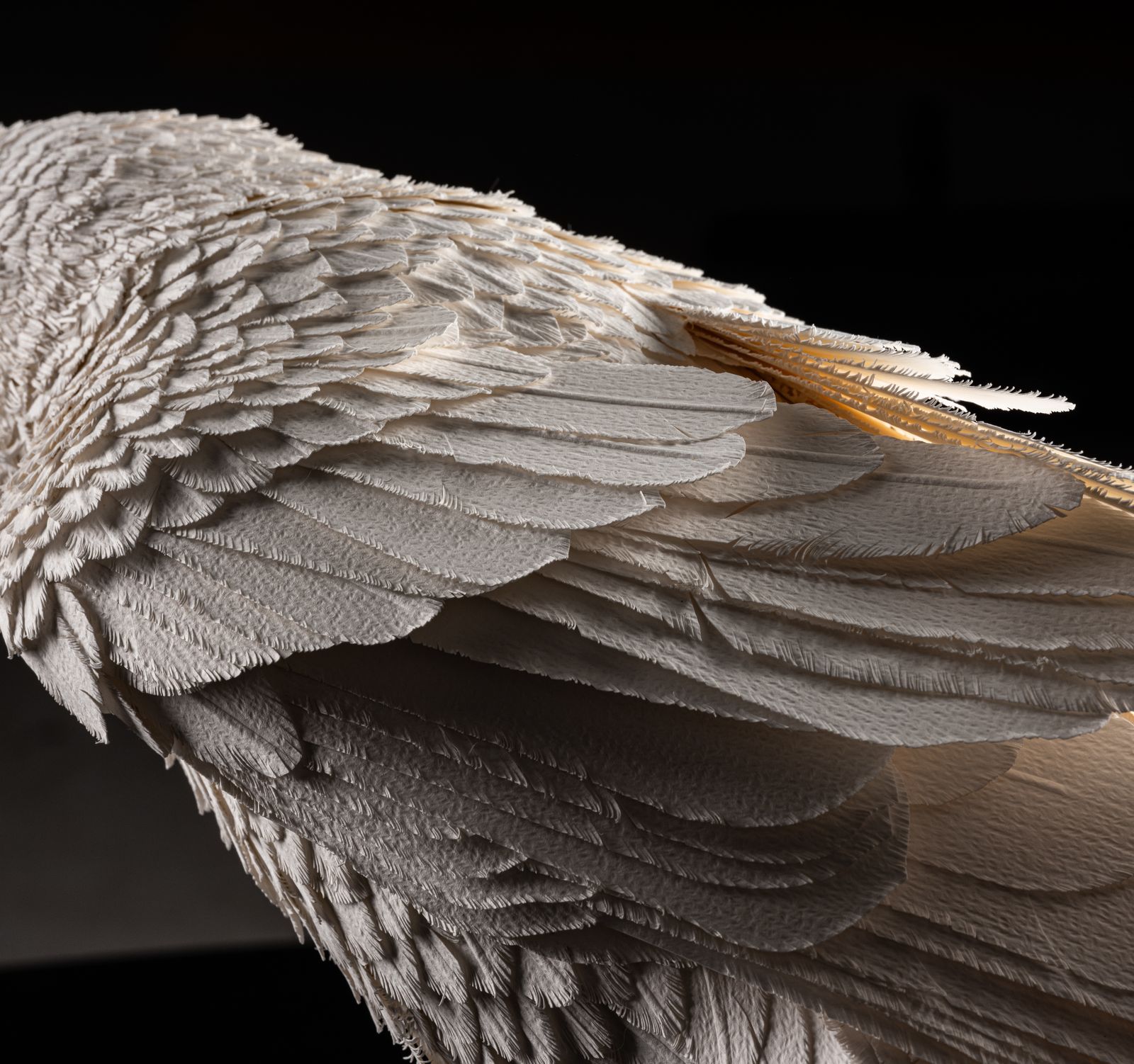 photo furniture Unique Vintage Velum Paper Feather 'Raven' Sculpture In Bespoke Display Case.