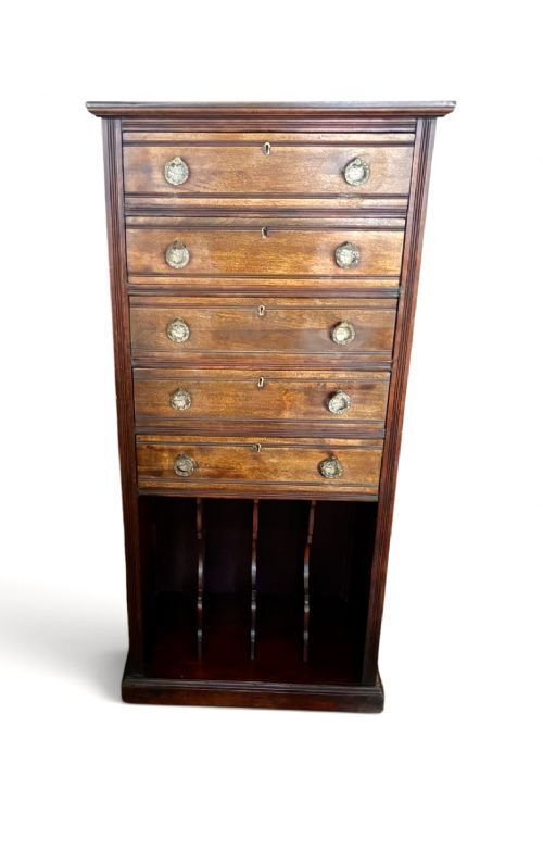 Early 20th Century Mahogany Tall And Narrow Chest Of Drawers