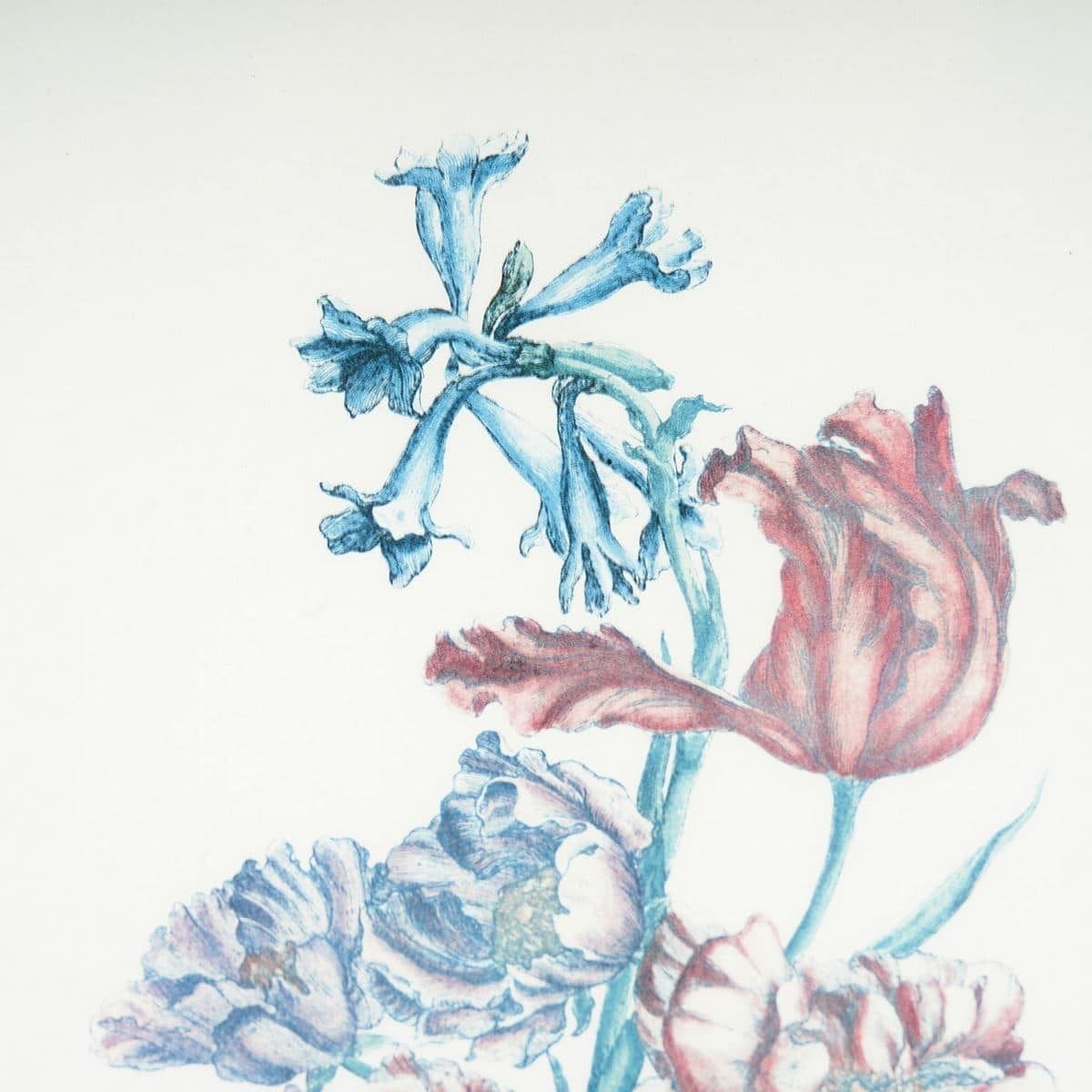 Elegant Floral Print In Vintage Botanical Frame photo for sale