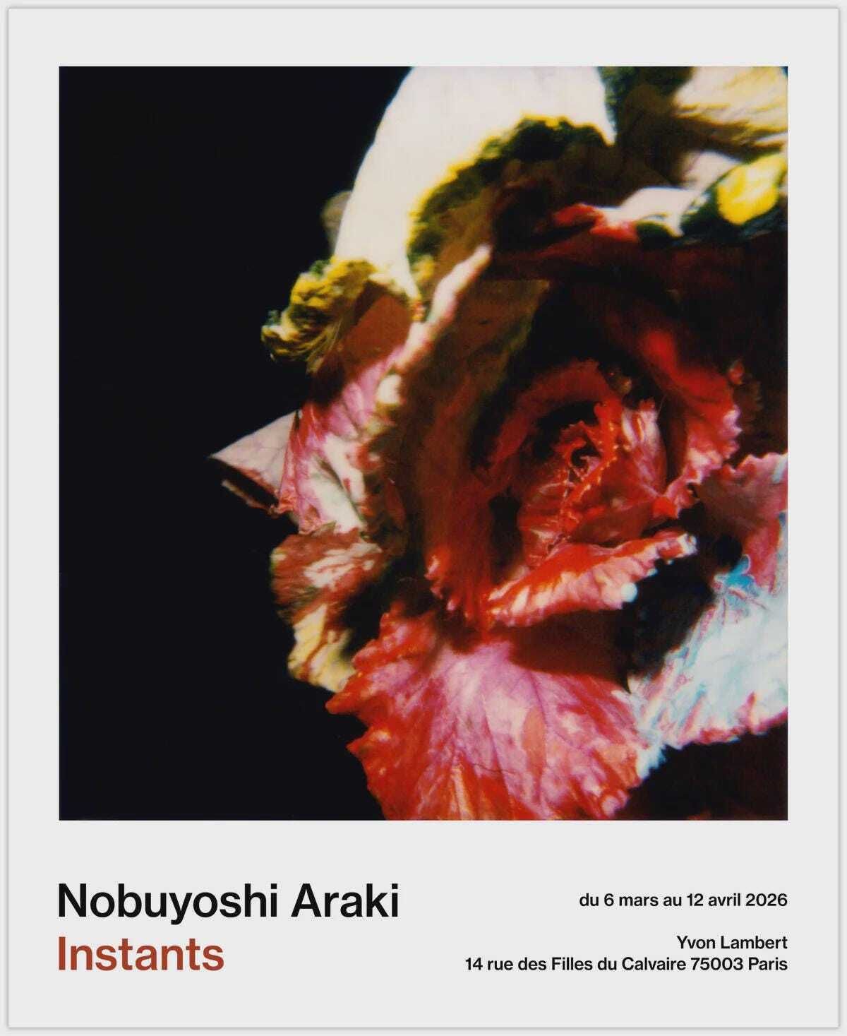 Original Nobuyoshi Araki Exhibition Poster   Instants   Stunning Museum Print photo furniture