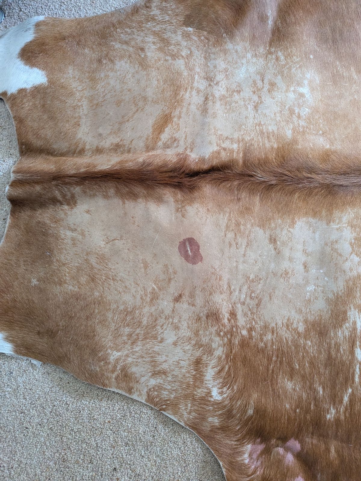 Vintage 1990s Texas Cowhide Rug   Genuine Large Brown/White Hide photo 150.0