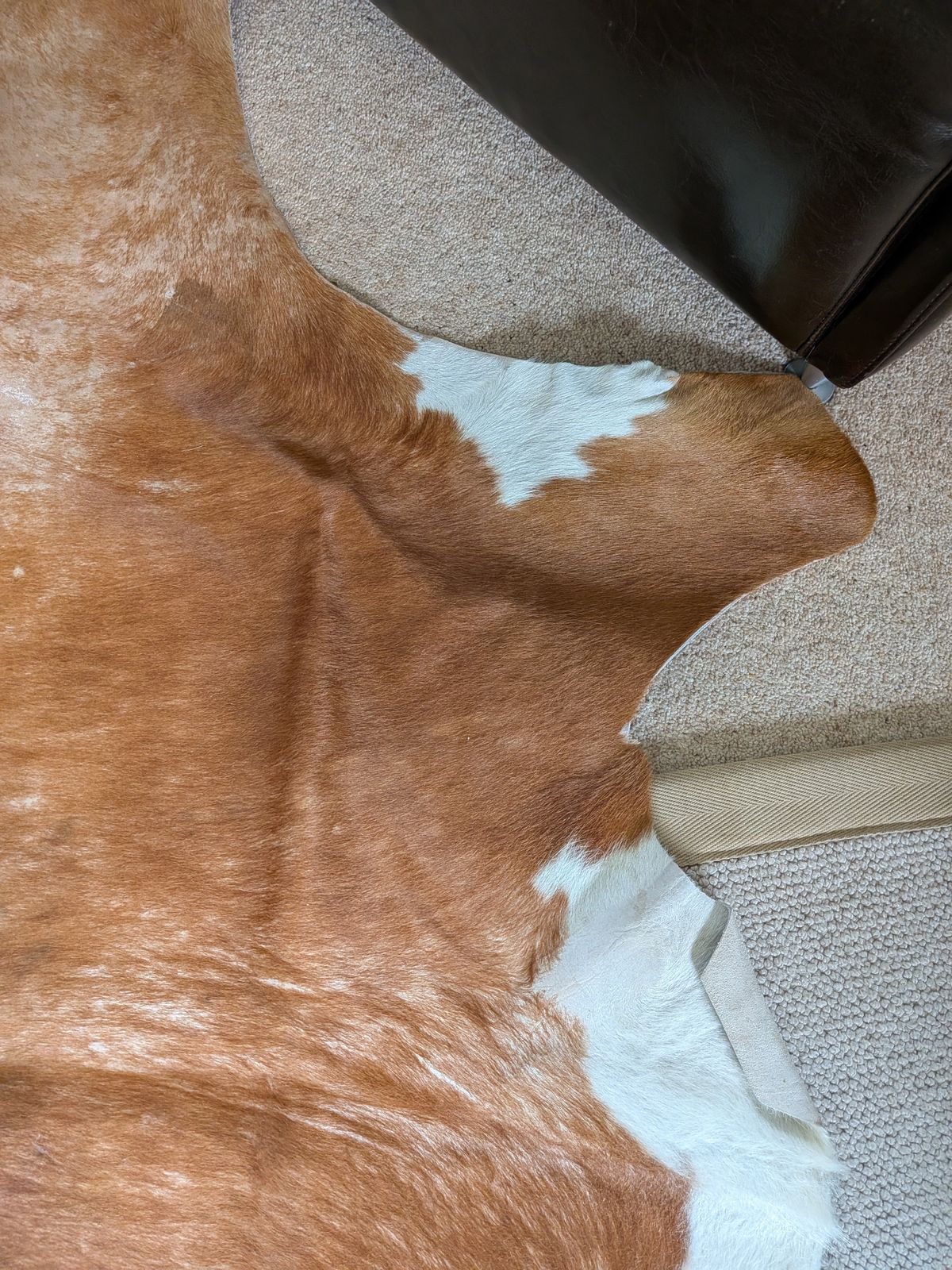 photo furniture Vintage 1990s Texas Cowhide Rug   Genuine Large Brown/White Hide