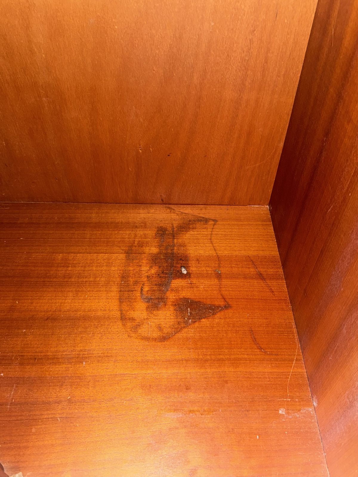 Pair Of Mid Century Wardrobes   Ladies' Wardrobe photo for sale