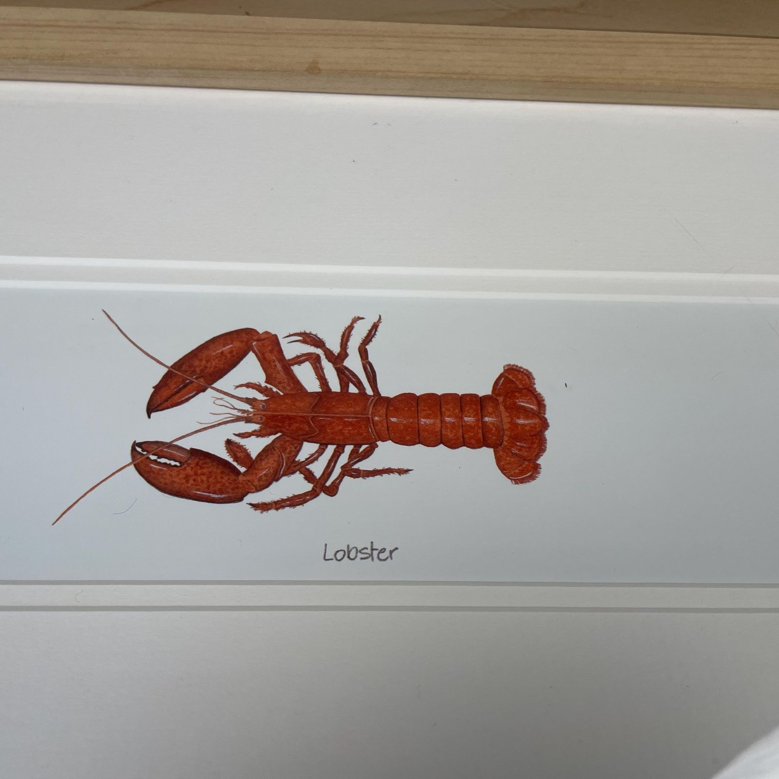 Vintage Lobster Prints Pair Framed Picture Coastal Kitchen Wall Art Nautical Seafood Crustacean Illustration Set Of 2 Wooden Frame photo for sale