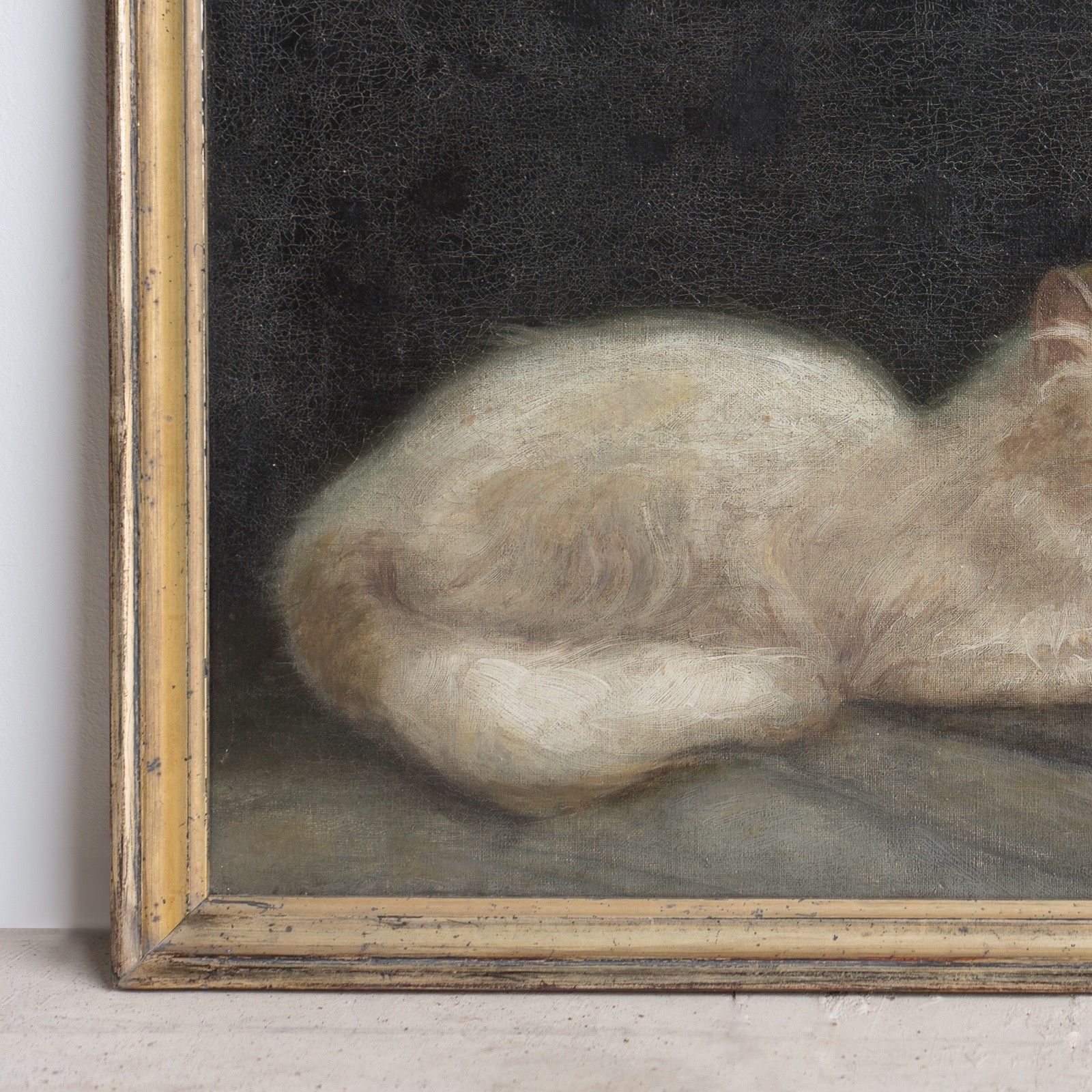 White Cat Portrait Original Antique Oil Painting, Attributed To Arthur Heyer photo vinterior