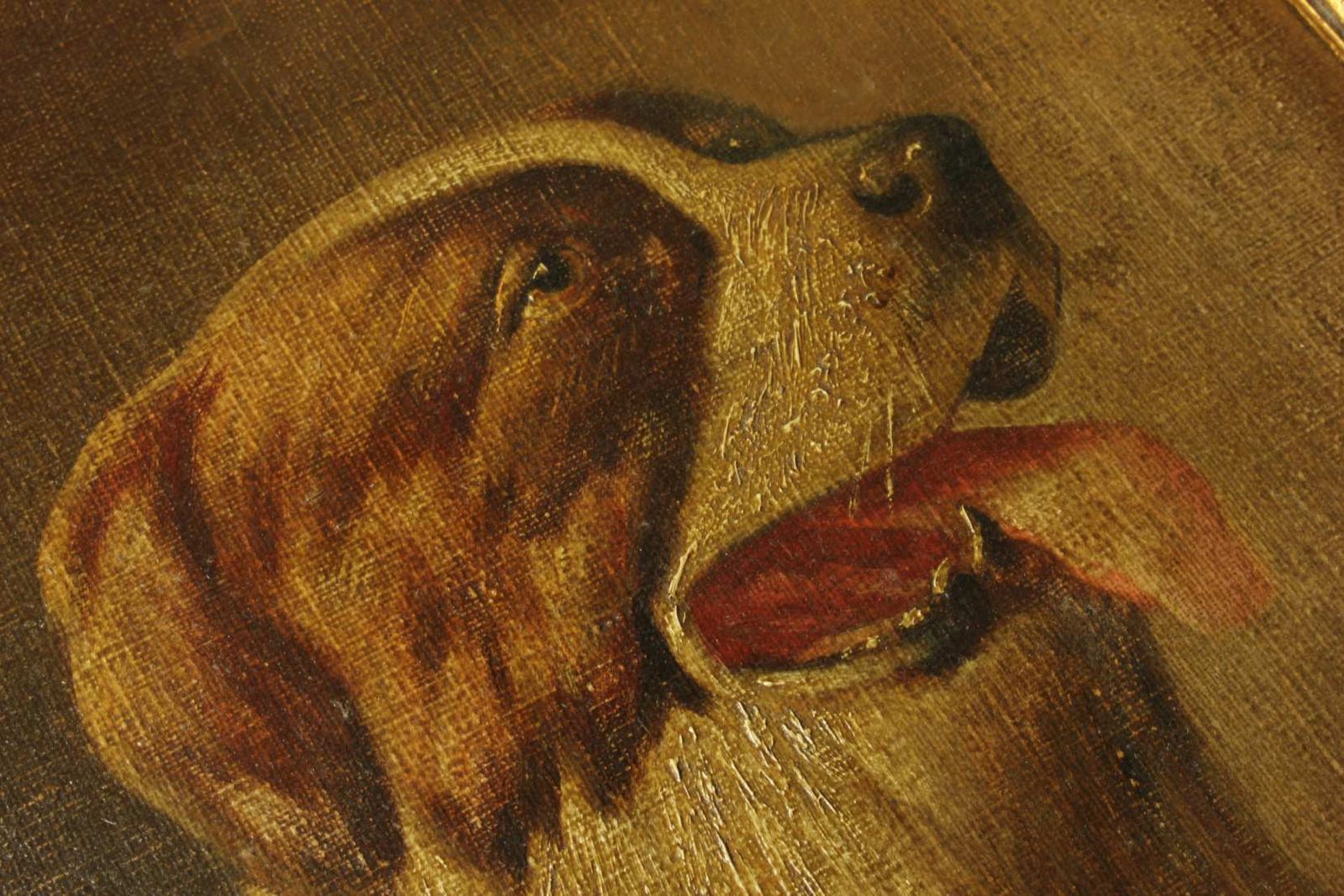 Antique St Bernard Oil Painting. Framed Lm Webb Signed Dog Portrait. 1929. photo 535.0