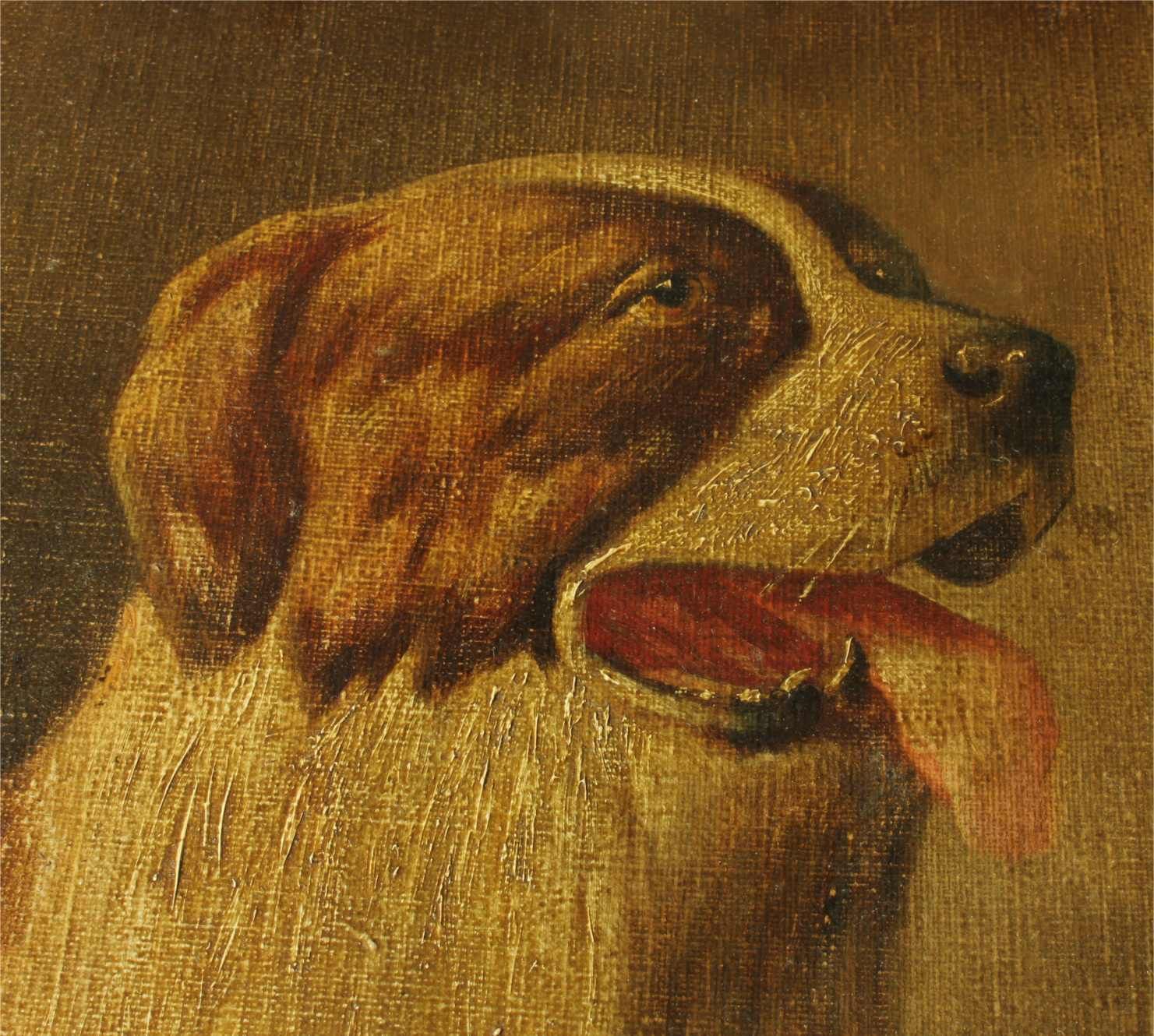 Antique St Bernard Oil Painting. Framed Lm Webb Signed Dog Portrait. 1929. photo vinterior