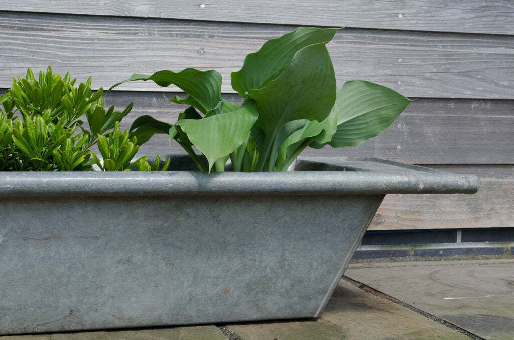 Reclaimed Galvanised Zinc Trough Planter photo for sale