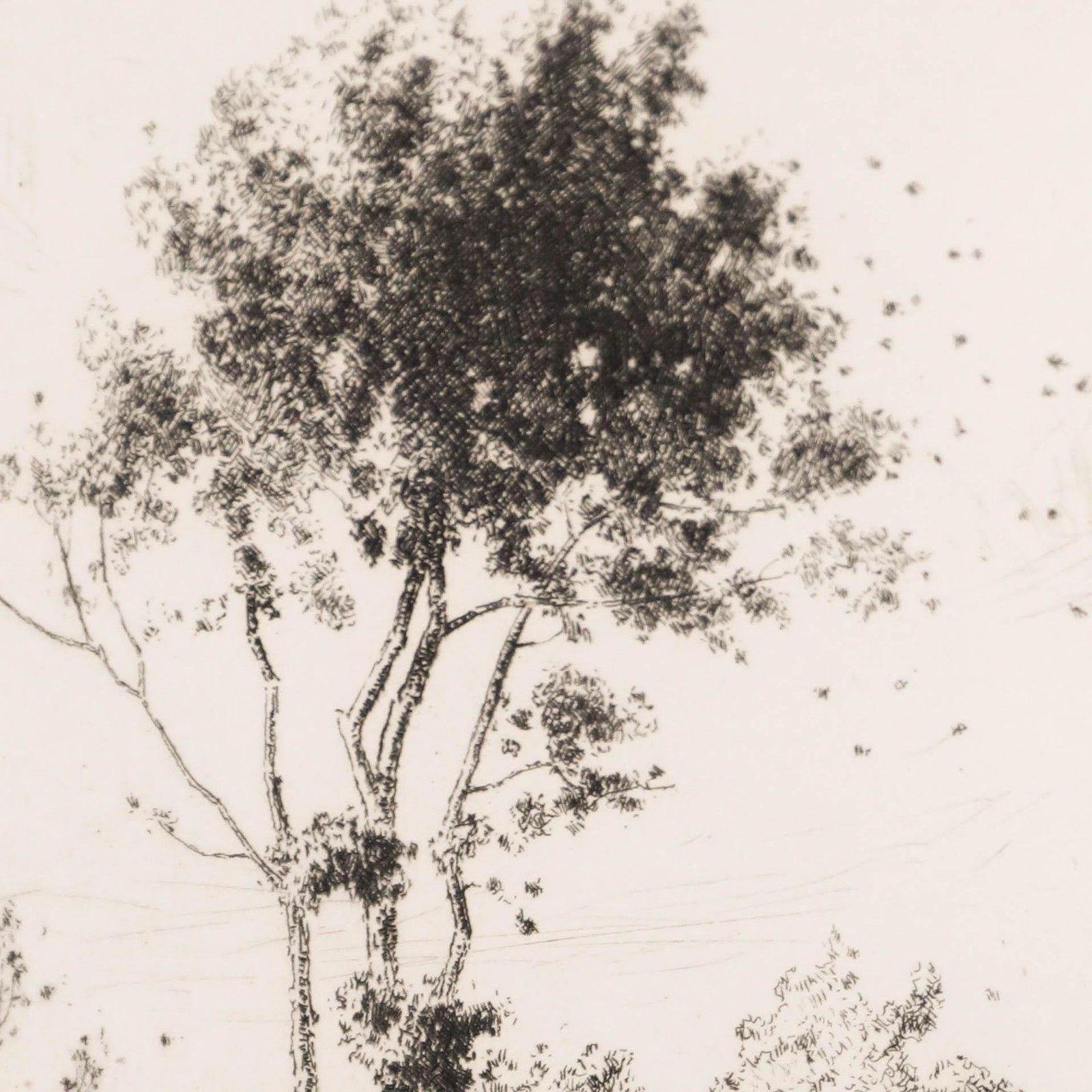 Alfred Hartley (1855 1933) Early 20th Century Etching, Autumn Breezes photo Art