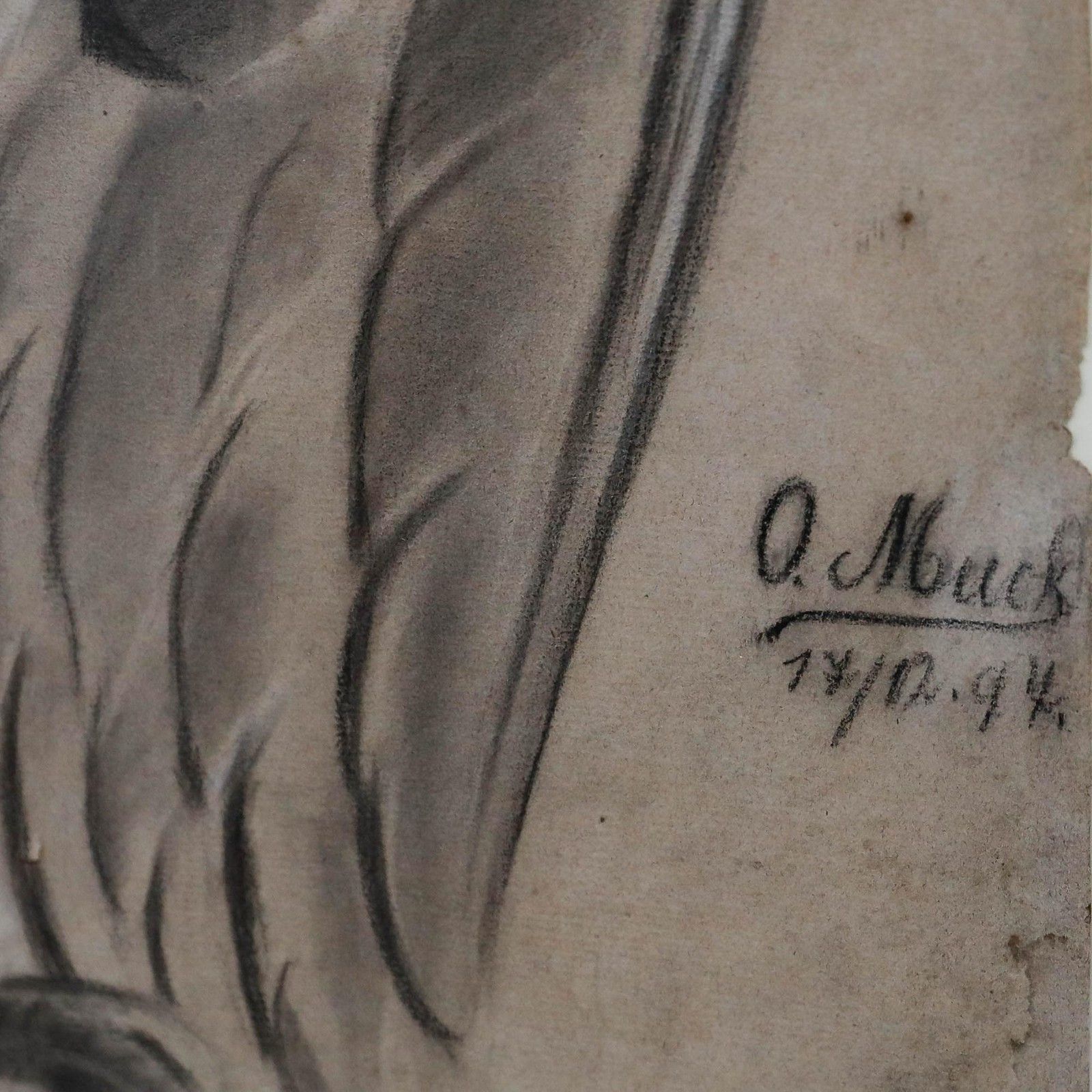 O. Muck (Fl.1898 1907) Framed Charcoal Drawing, Study Of An Eagle photo buy
