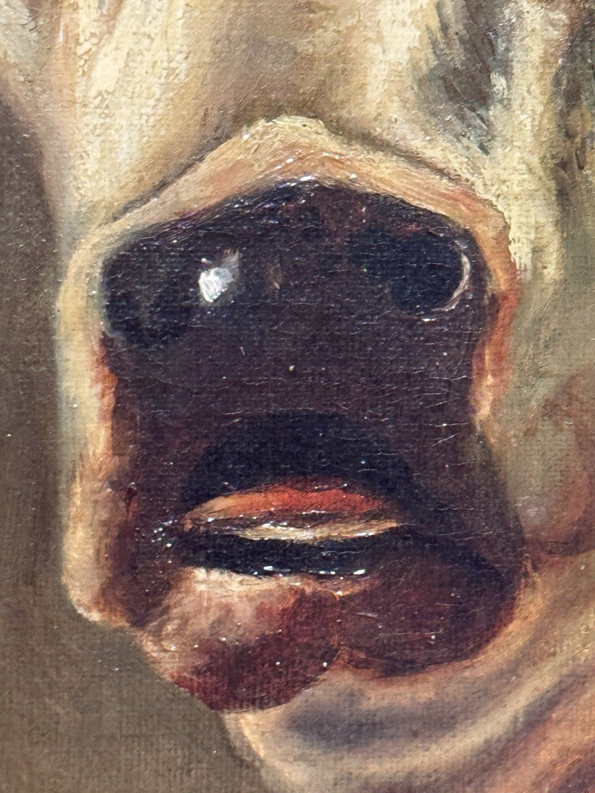 photo for sale 19th Century Prize White Hereford Bull Portrait Oil Painting Signed E Wood