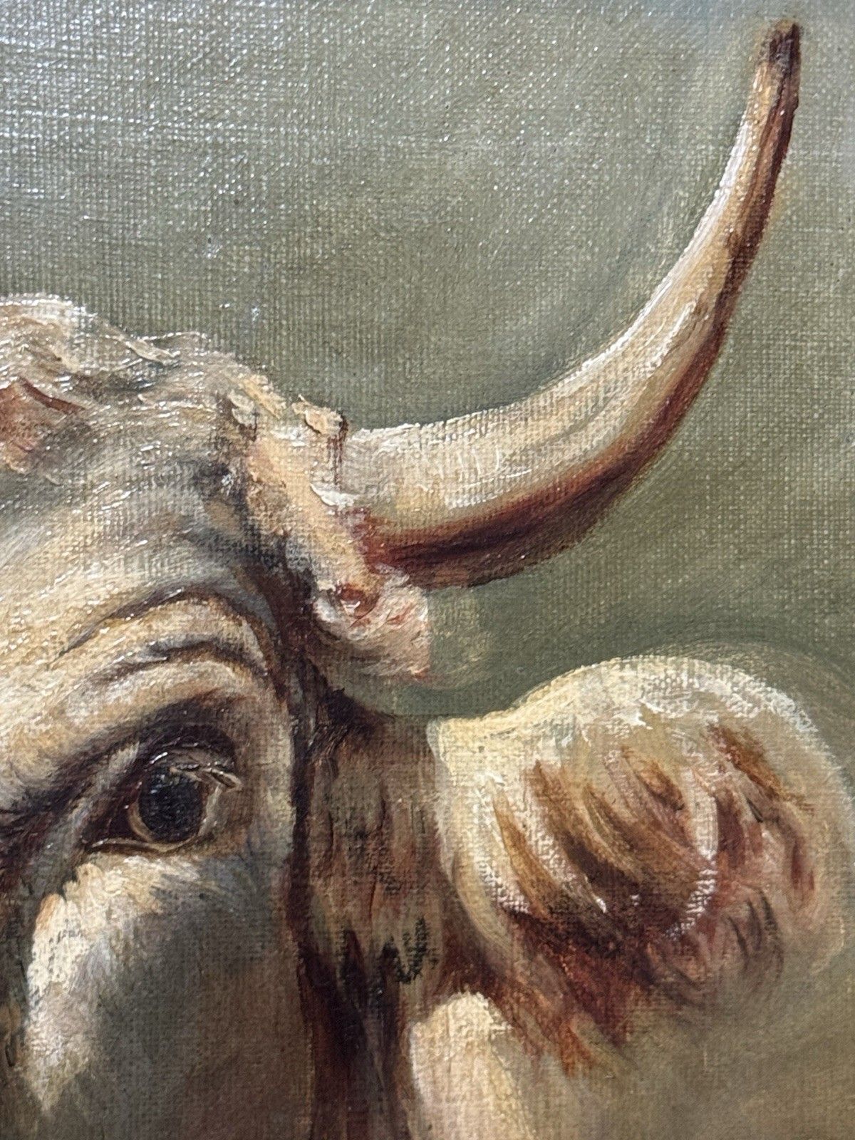 photo buy 19th Century Prize White Hereford Bull Portrait Oil Painting Signed E Wood