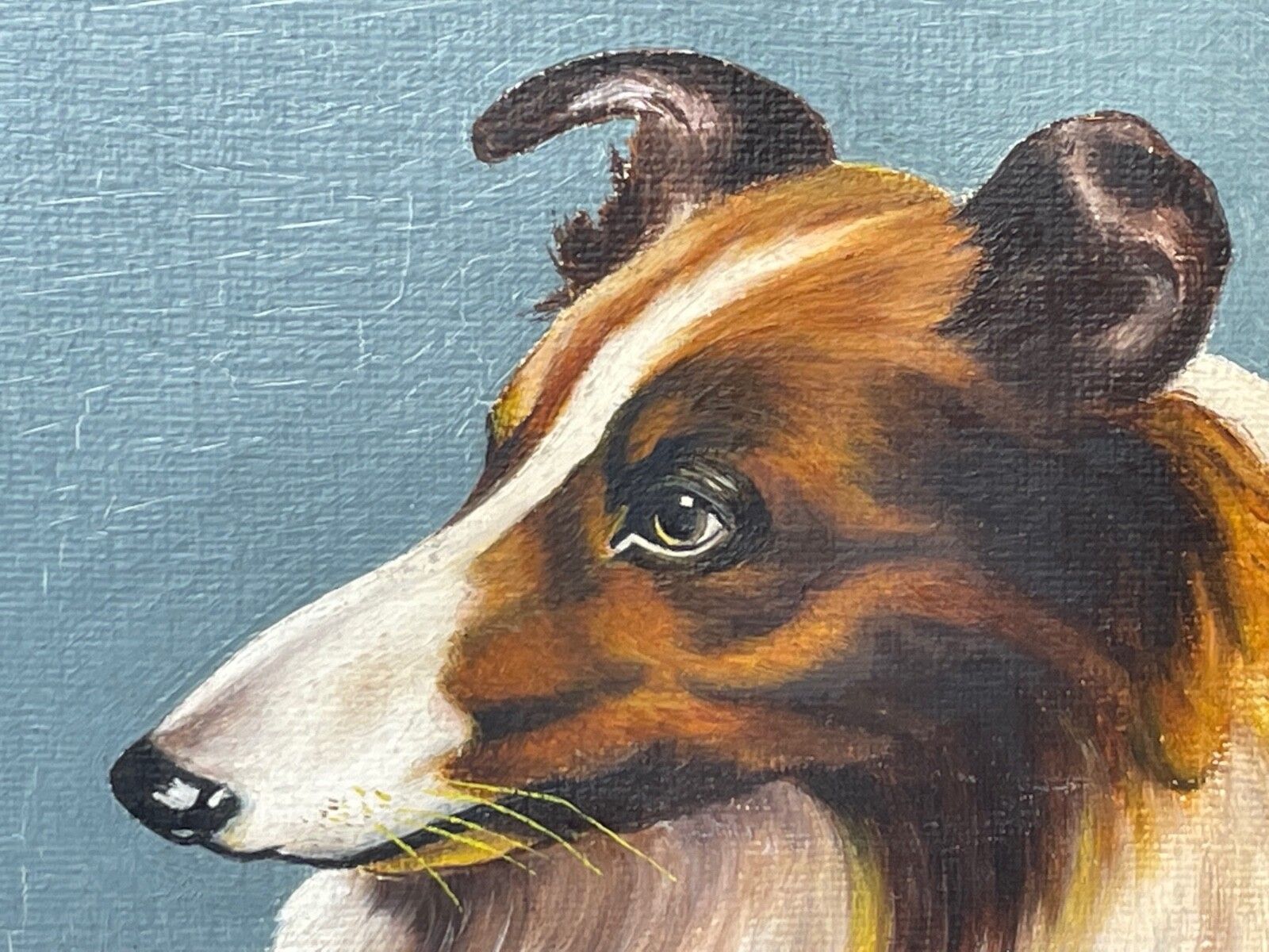 Art Oil Painting Portrait Scottish Rough Collie Dogs Follower Benedict Angell Hyland photo