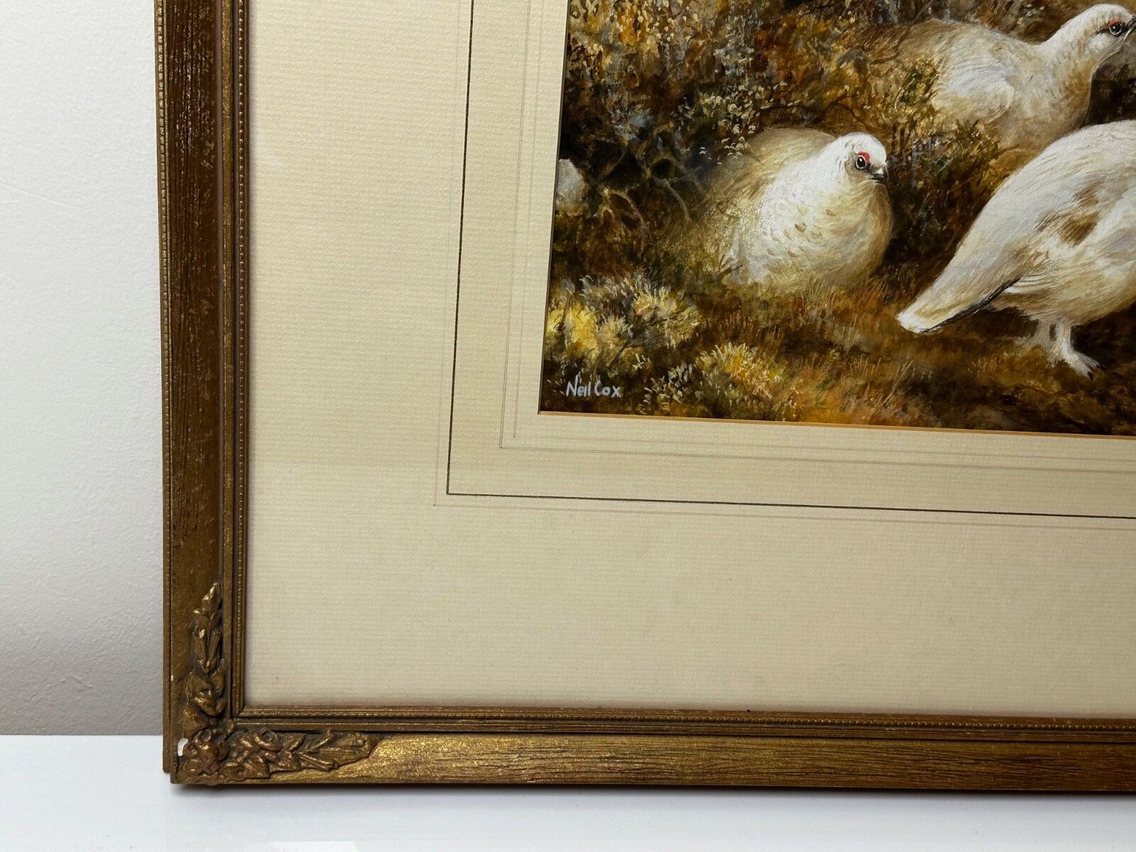 photo furniture British Painting Highland Moors Wildlife Covey Of Ptarmigan Game Birds On Alert