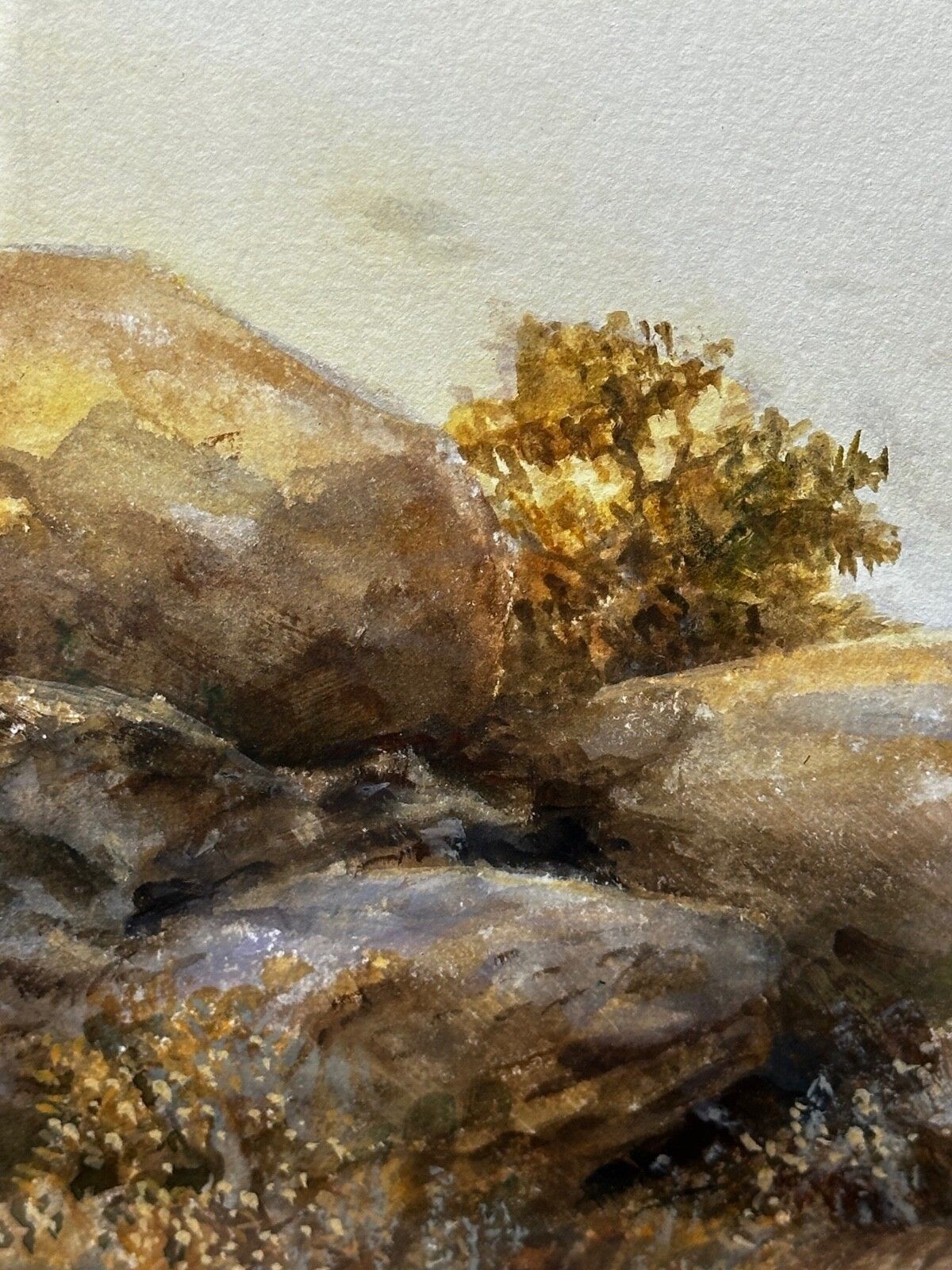 photo buy British Painting Highland Moors Wildlife Covey Of Ptarmigan Game Birds On Alert