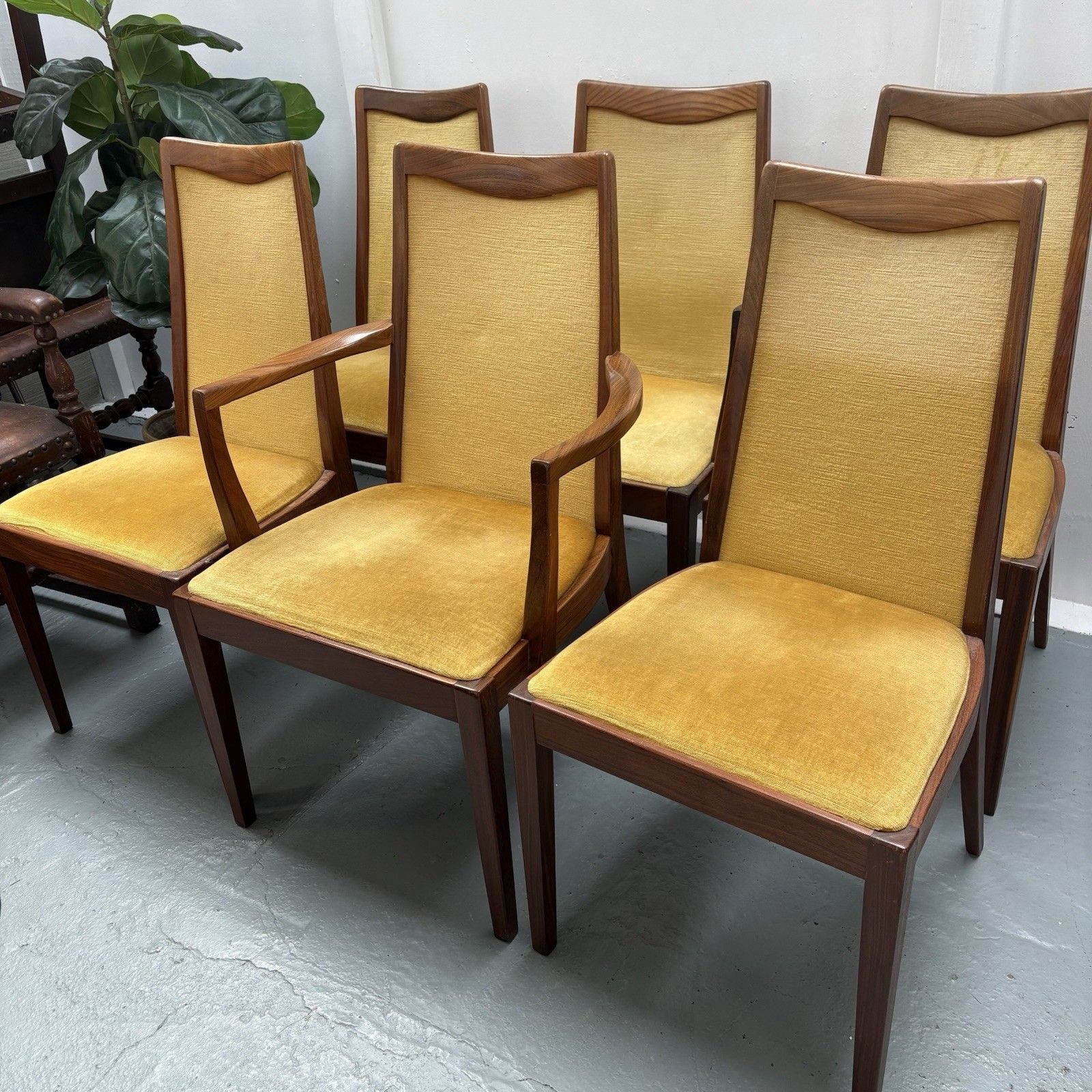 6 Mid Century Teak & Mustard Fabric G Plan Dining Chairs By Leslie Dandy 1960s photo furniture