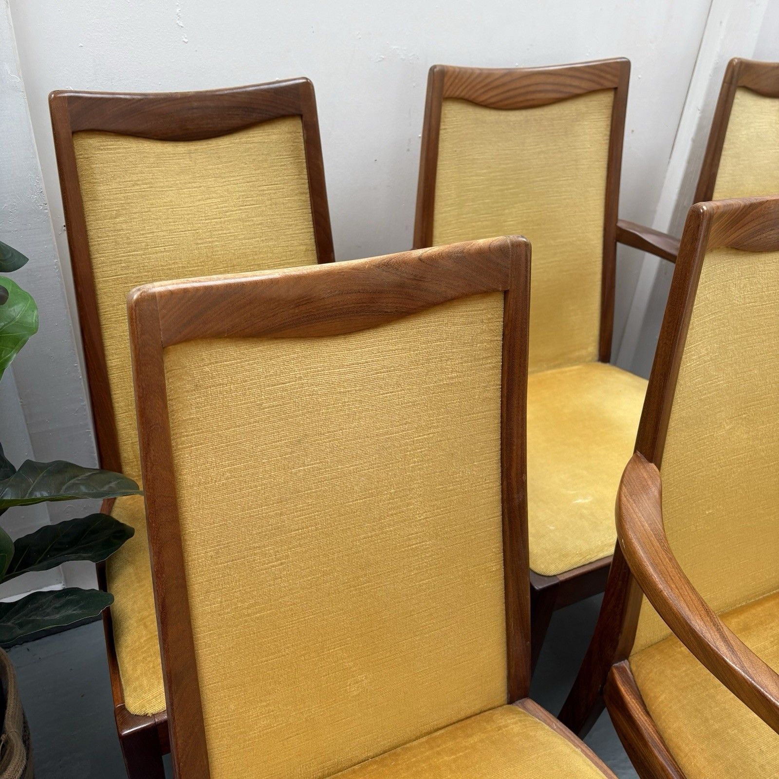 6 Mid Century Teak & Mustard Fabric G Plan Dining Chairs By Leslie Dandy 1960s photo buy