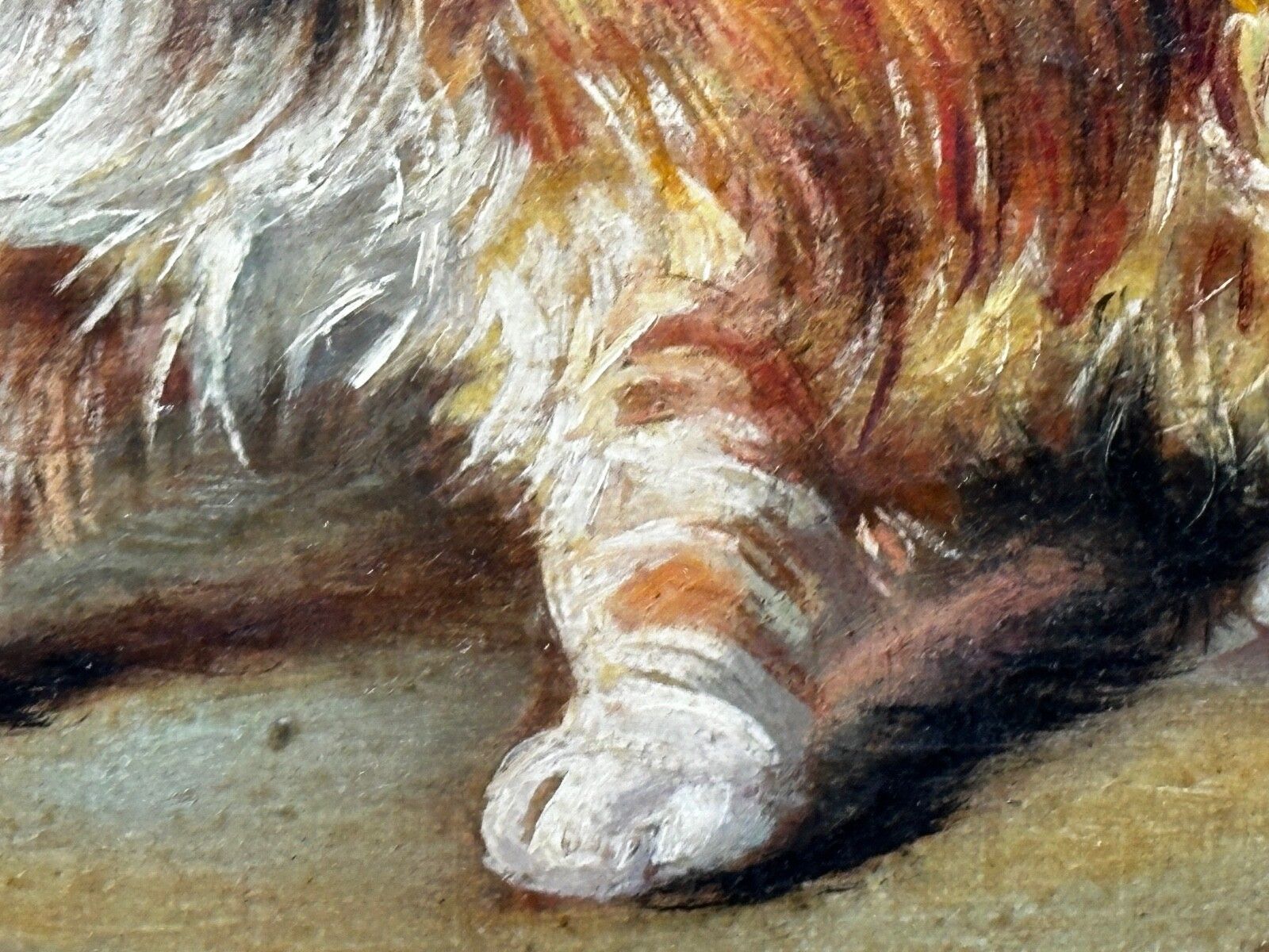 photo buy Olieverfschilderij Kitten Patience Hunting Fly, Francisco José Domingo Y Marqués