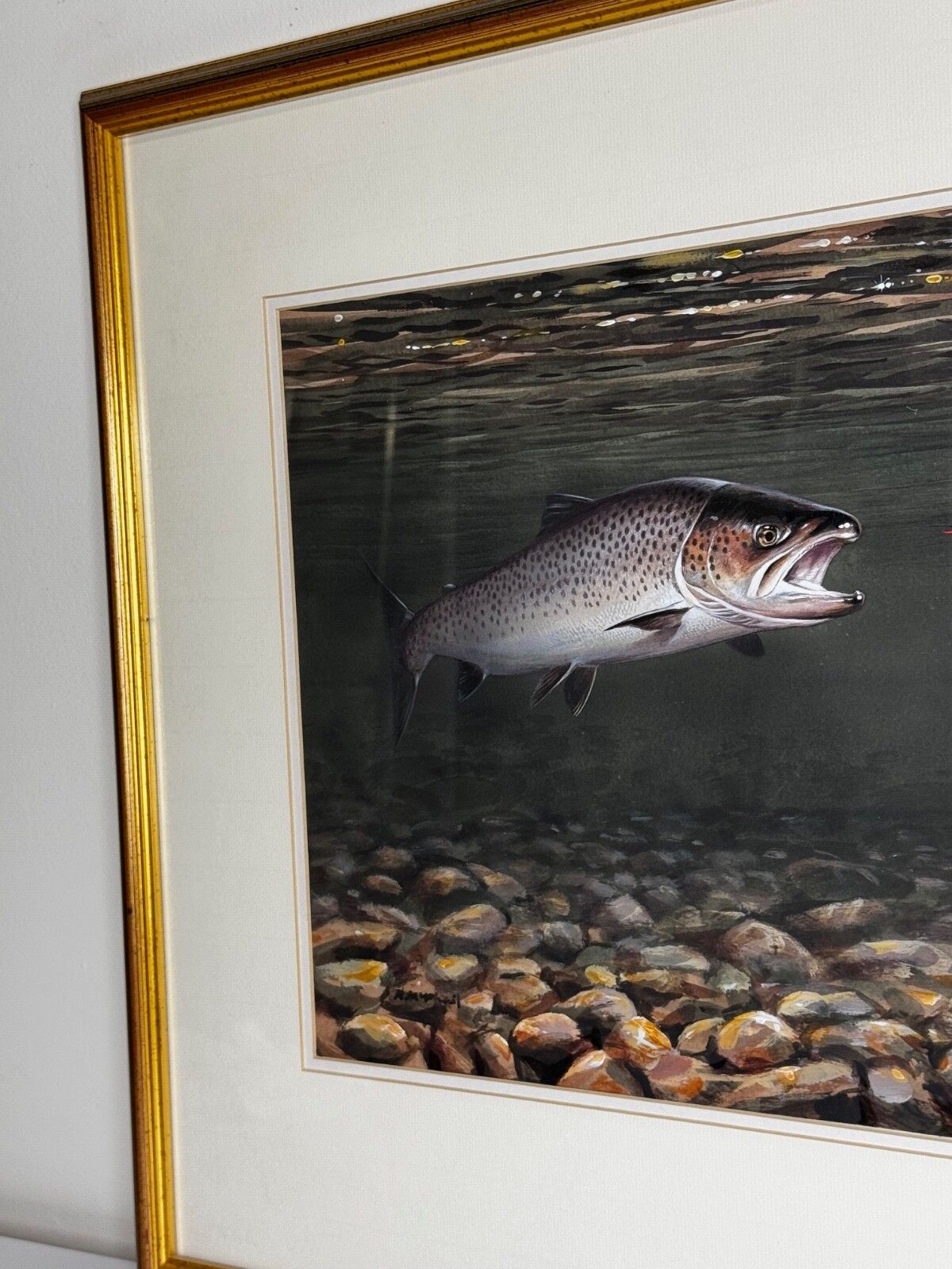 Sporting Painting Sea Trout Nearly Hooked The Silver Zulu Fly By Roger Mcphail photo vintage