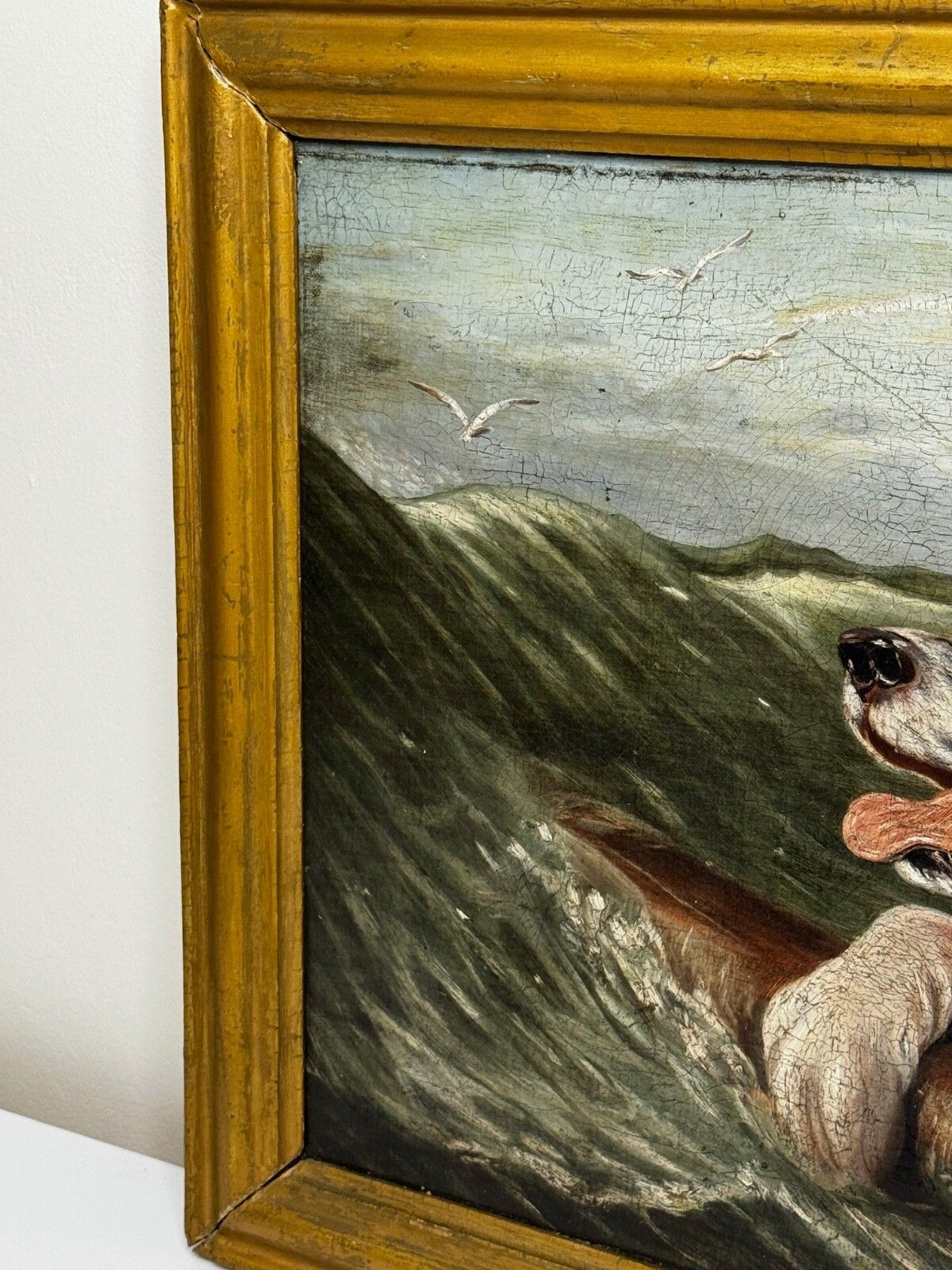 Marine Oil Painting Saint Bernard Dog Swamped Shipwrecked Approaching New York photo Art