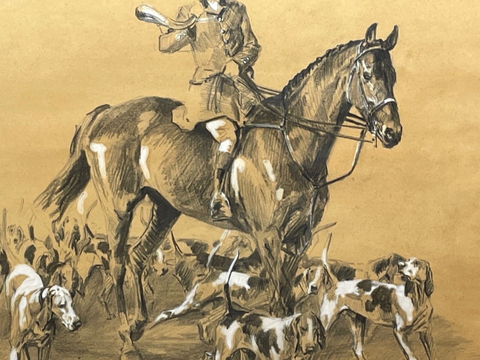Jachttekening met witte hooglichting van American Foxhounds door Michael Lyne photo buy