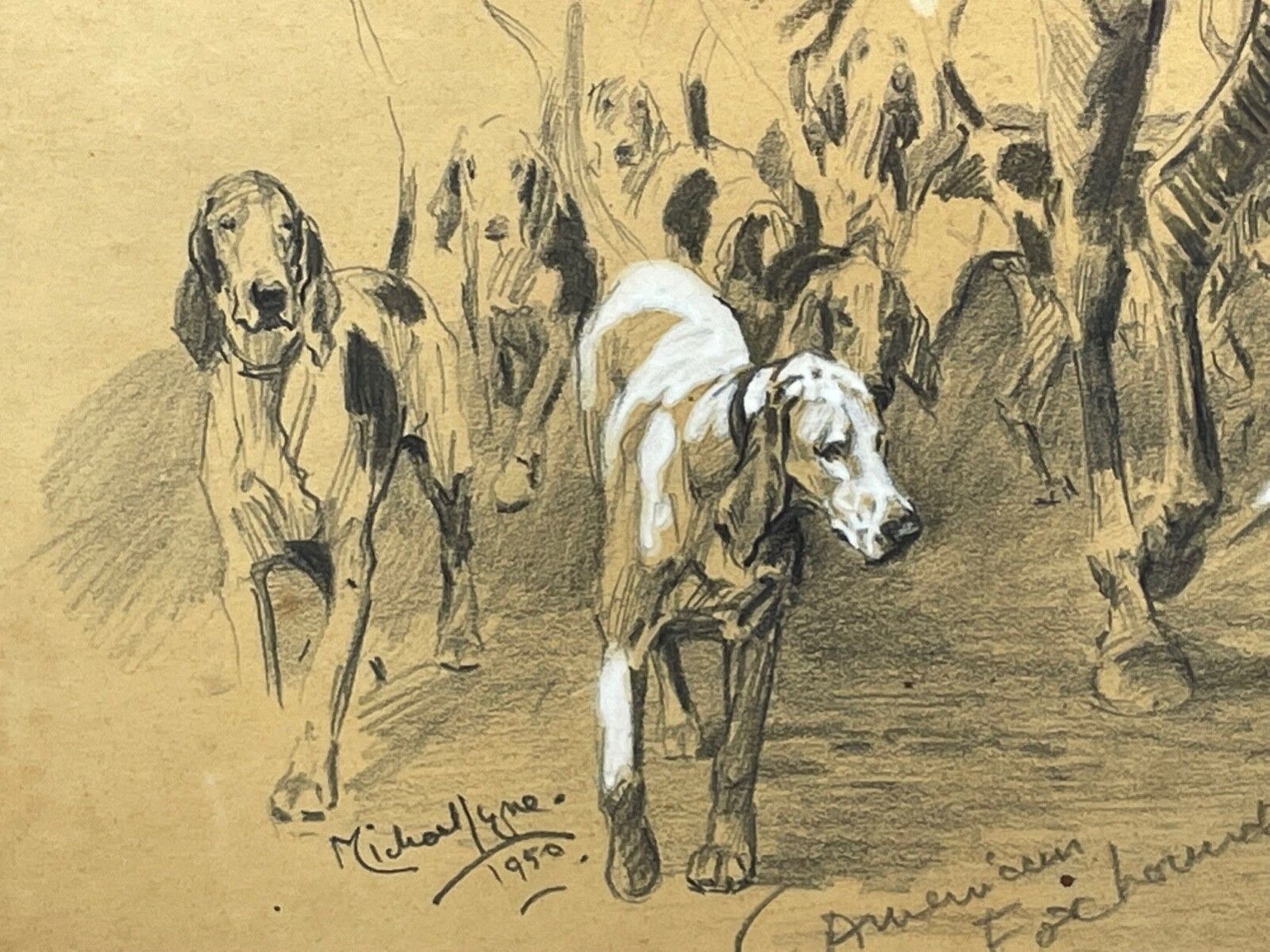 Jachttekening met witte hooglichting van American Foxhounds door Michael Lyne photo vintage