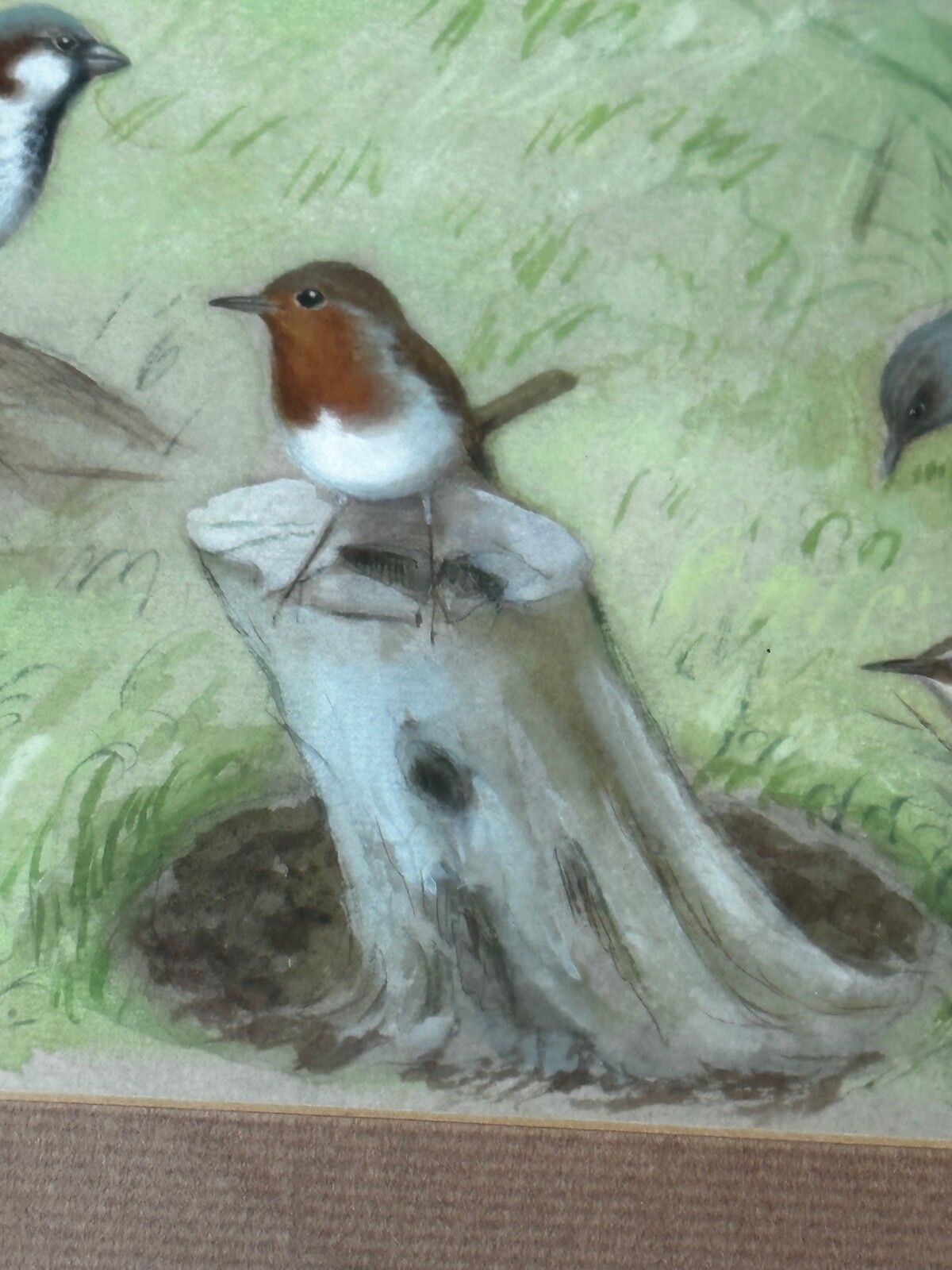 A Winter Gathering Robin & Mixed British Songbirds Manner Of Archibald Thorburn photo buy