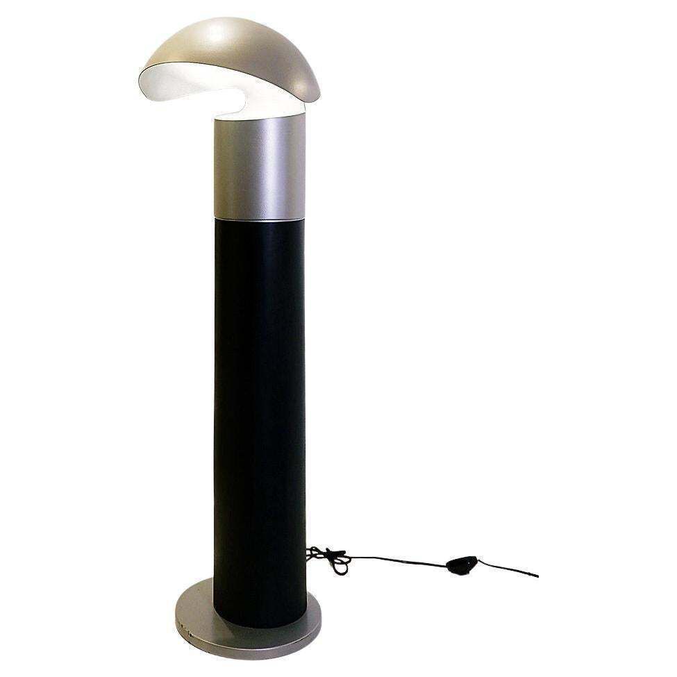 Metal Lacquered Floor Lamp Franco Buzzi Ceriani Style