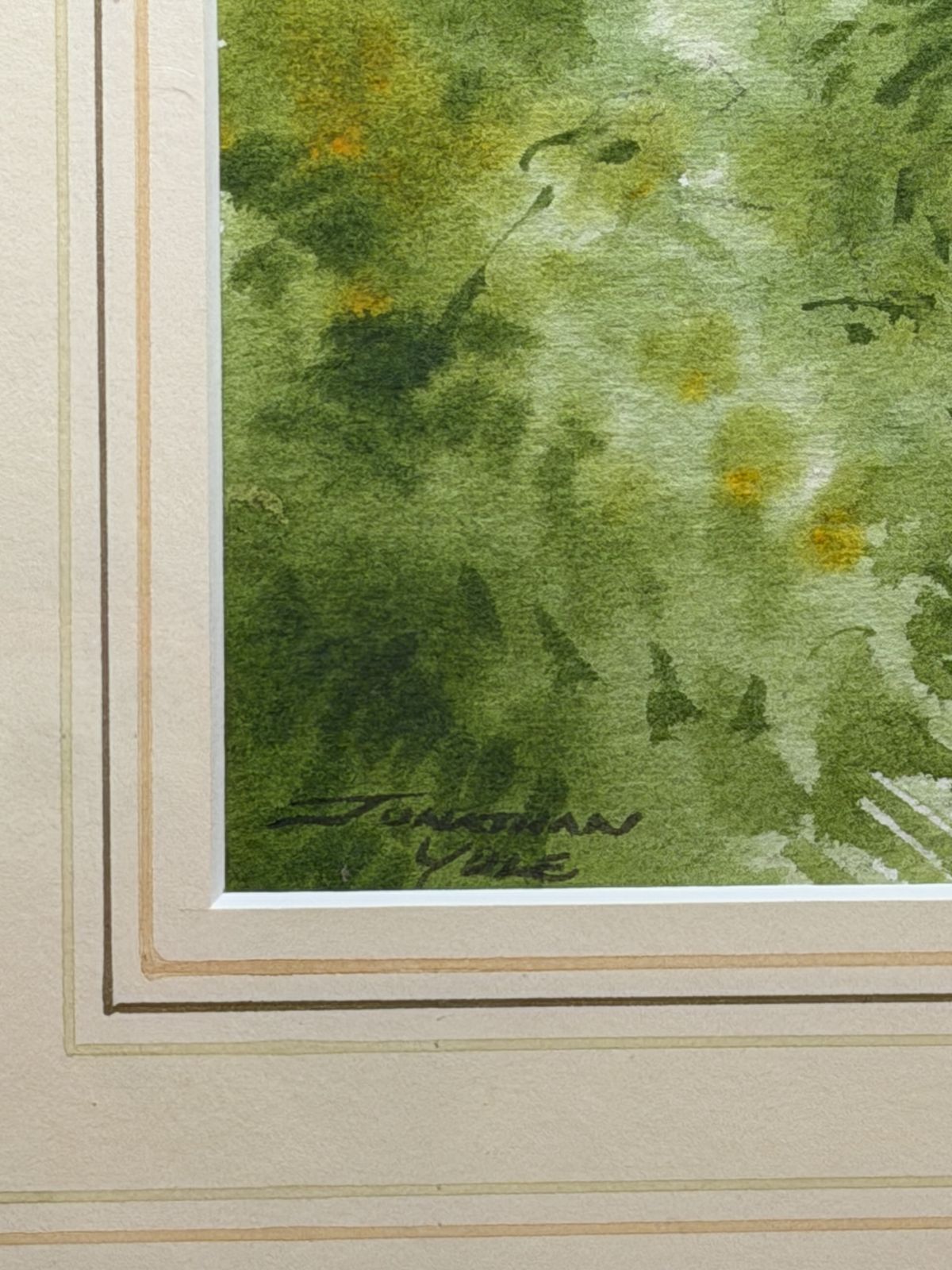 Jonathan Yule Signed Watercolour Roe Deer In Woodlands Framed Picture photo 210.0