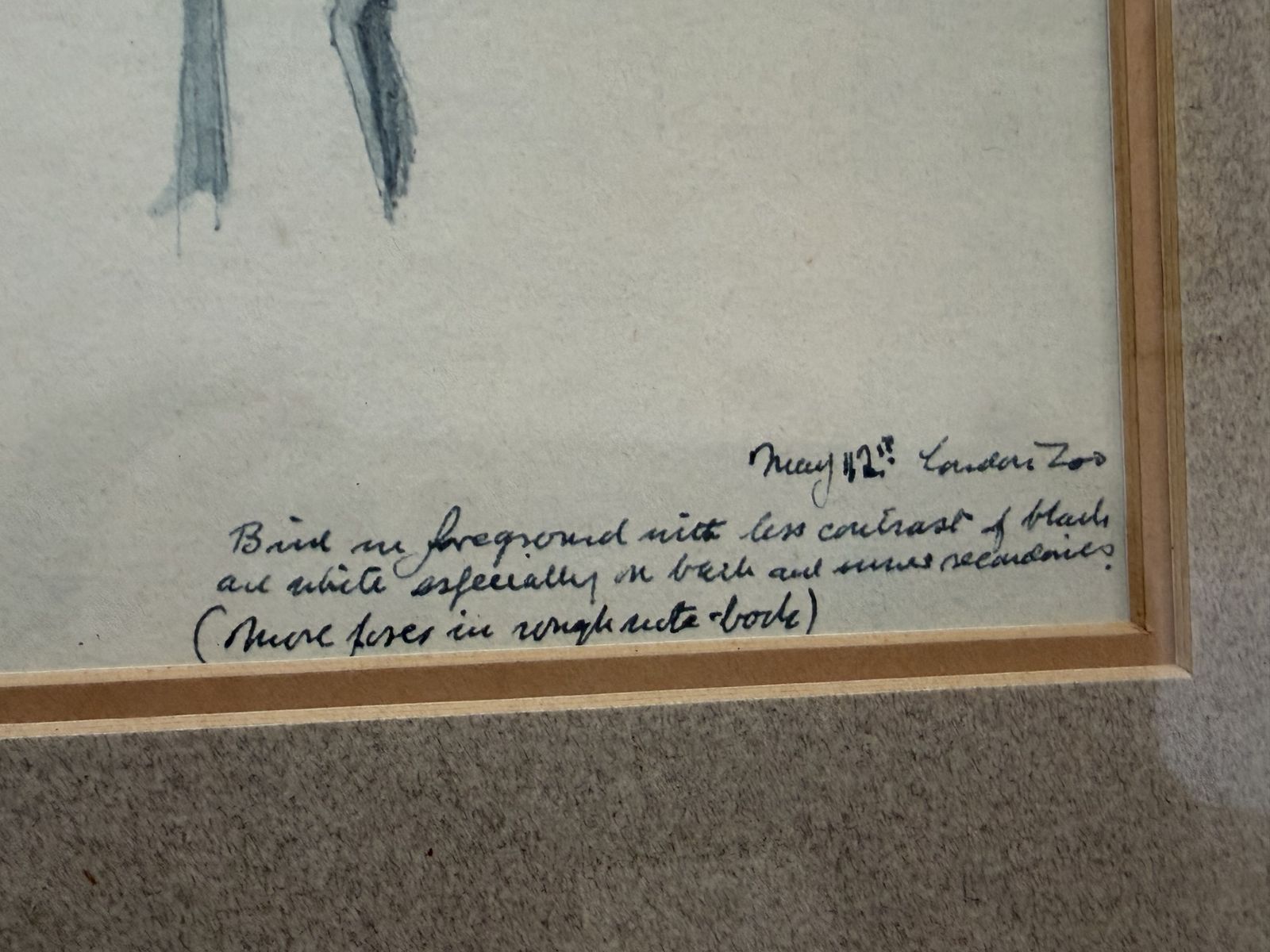 Vintage Avocet Sketch From London Zoo (1982) photo furniture