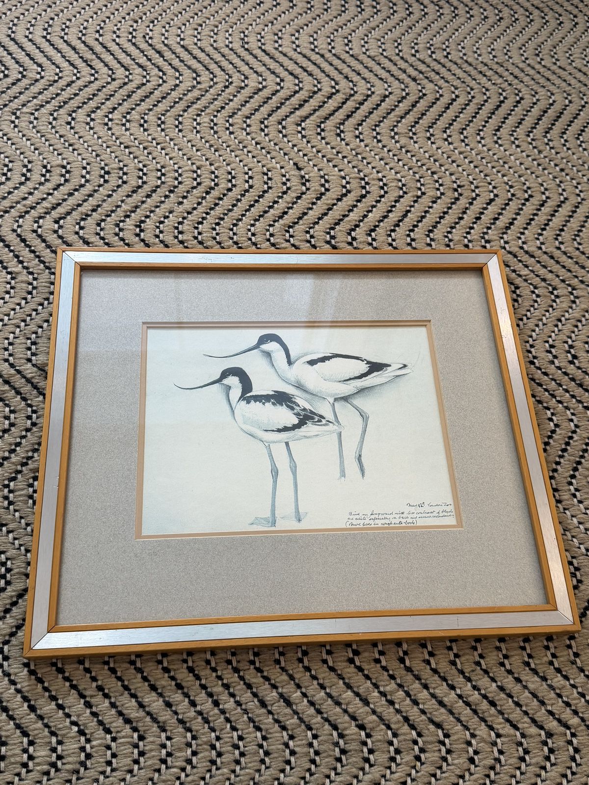 Vintage Avocet Sketch From London Zoo (1982) photo for sale