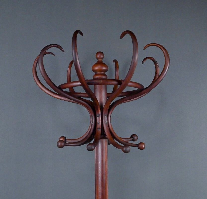 Large Parrot Coat Rack In Bent Beechwood, Thonet Style – Early 20th Century photo vinterior