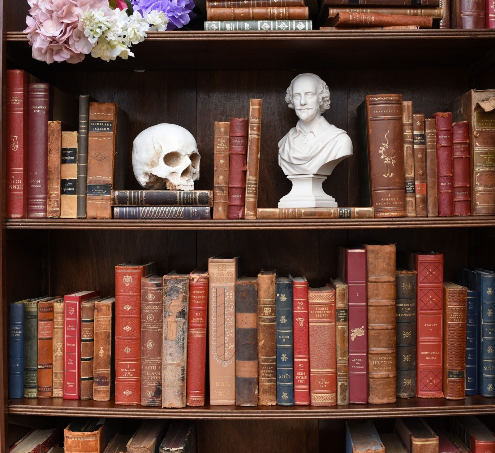 2220.0 Pair Mahogany Open Front Bookcase   Regency Sheraton Bookcase Bespoke photo