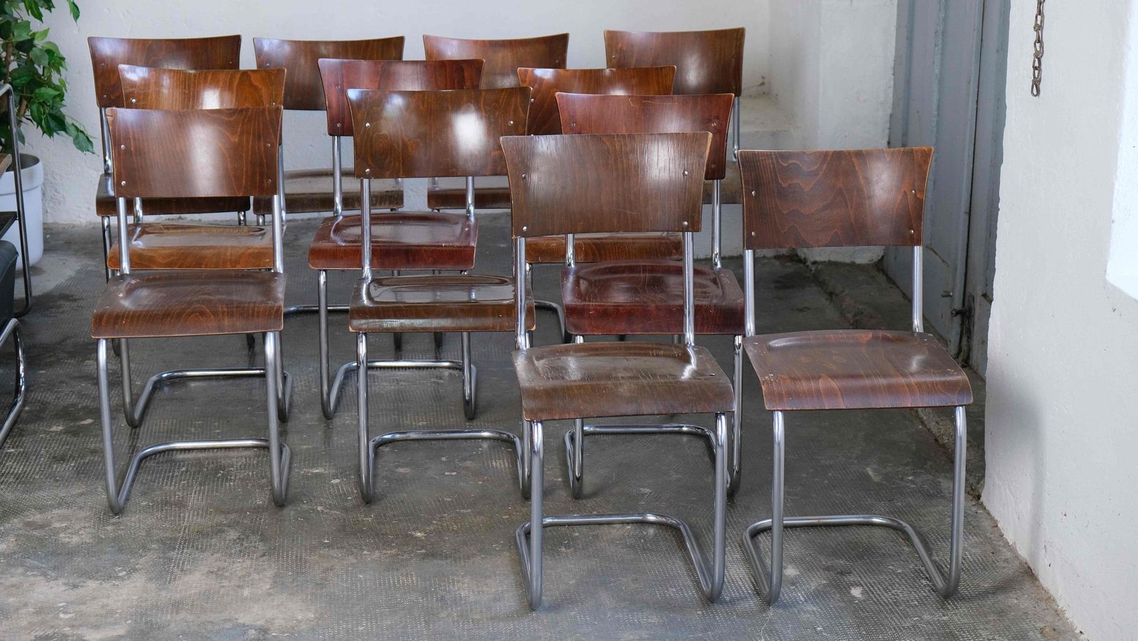 1 Of 12 Bauhaus Cantilever Chairs In Dark Brown photo furniture