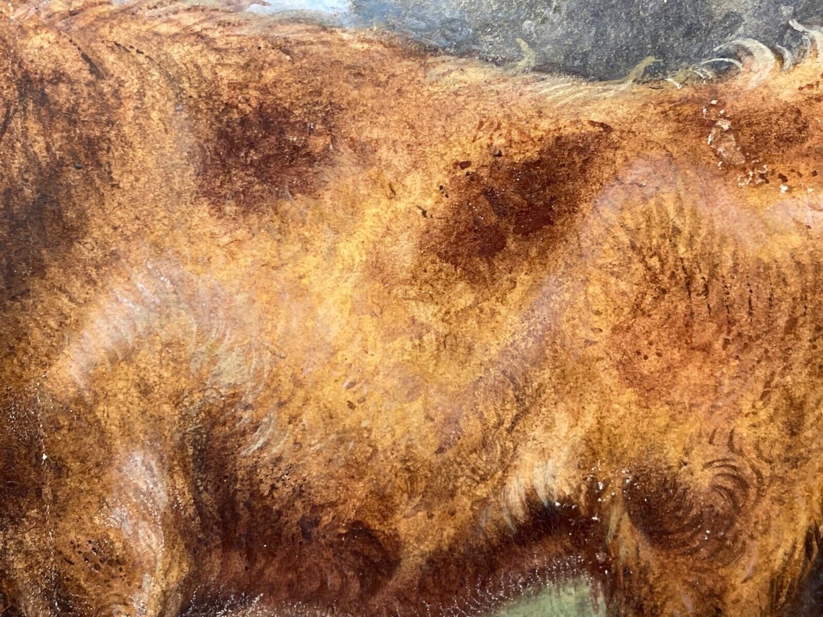 19th Century Scottish Highland Painting Cattle By Aster Richard Chilton Corbould photo 3900.0