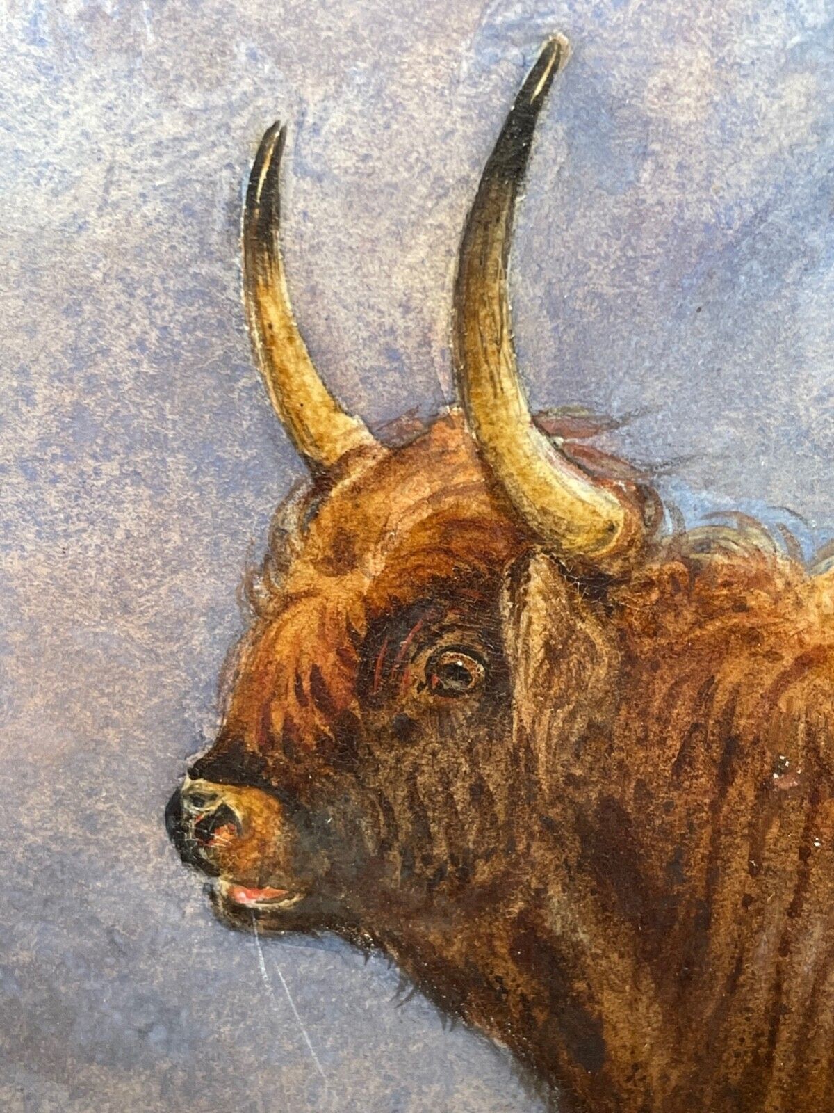 19th Century Scottish Highland Painting Cattle By Aster Richard Chilton Corbould photo vinterior