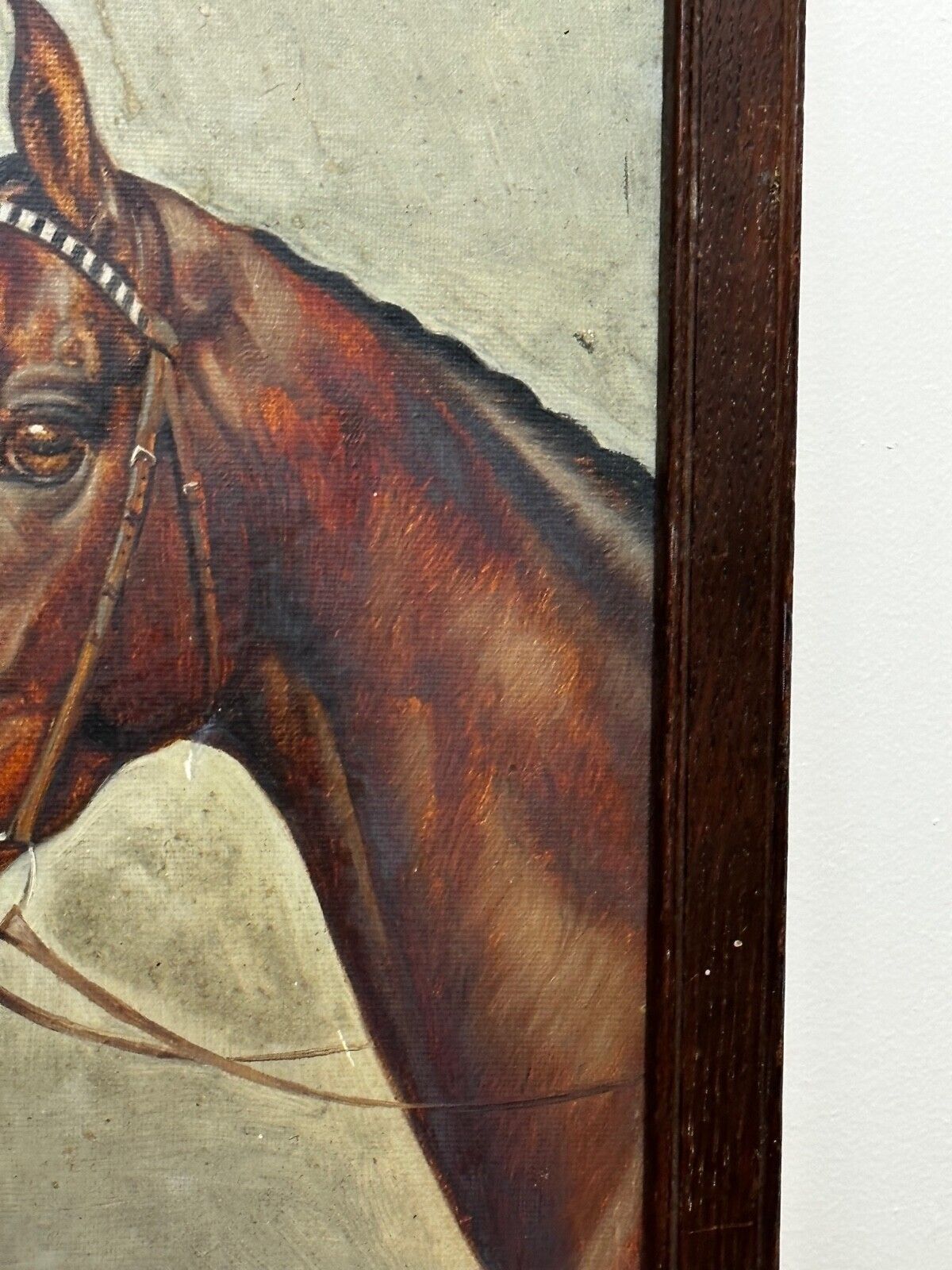 Equestrian Oil Portrait Of Champion Racehorse Craig An Eran By Walter Herbert Wheeler photo for sale