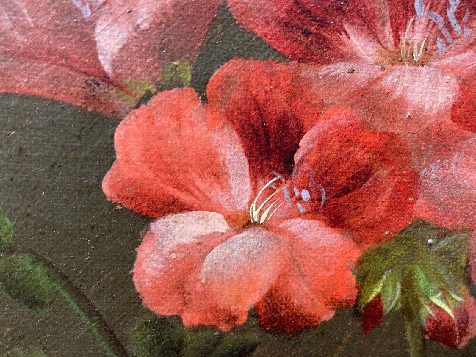 4000.0 19th Century British Work Of Art Oil Painting Still Life Roses Peaches & Grapes By Edwin Steele photo