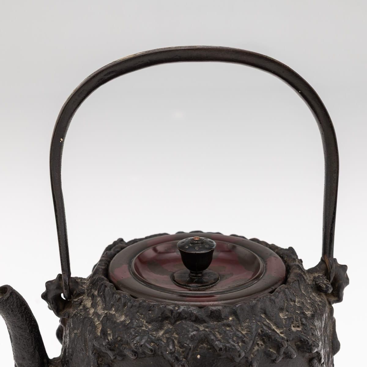Antique 19thc Japanese Cast Iron 'Seiryudoa' Carved Tetsubin Kettle C.1890 photo buy